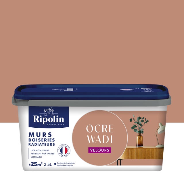 Peinture mur, boiserie, radiateur ocre wadi velours RIPOLIN , 2.5L
