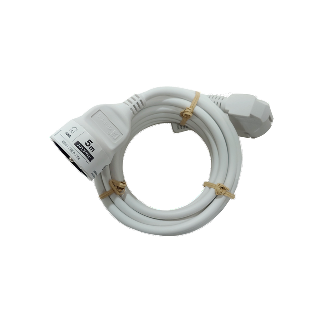 Rallonge électrique domestique 5 m 3G1.5 mm²