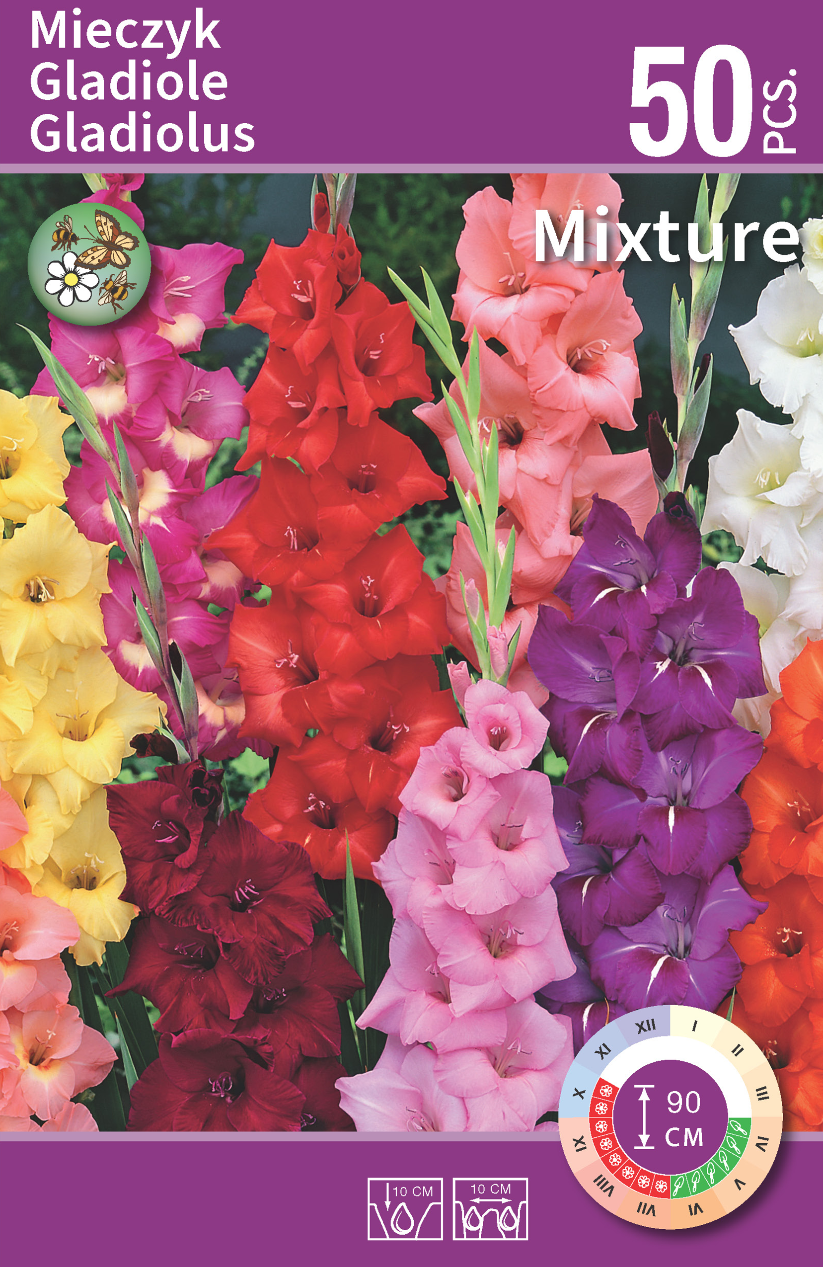Mieczyk mix 50 szt. cebulki kwiatów