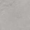 ver variante Color Gris Mate