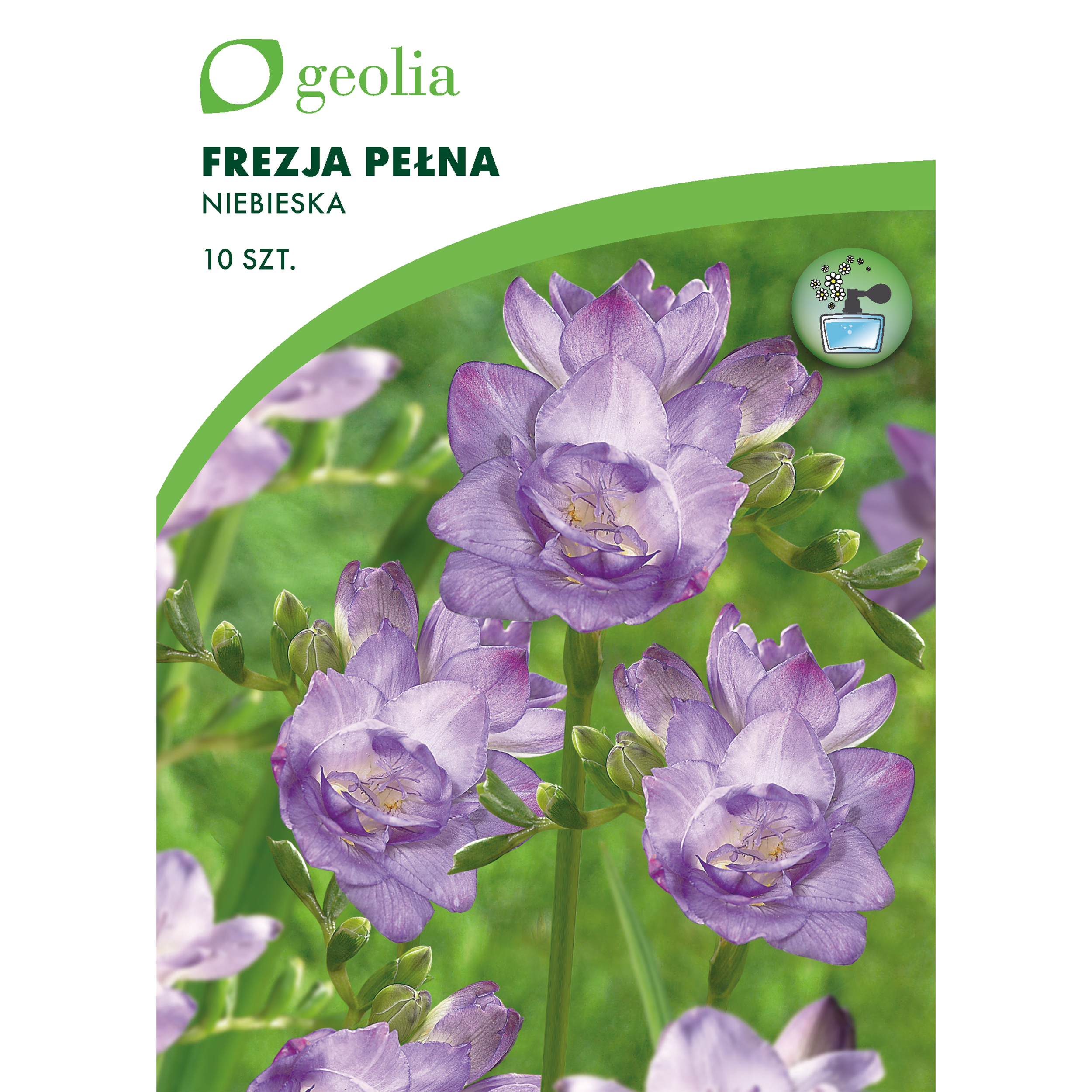 Frezja Double 10szt. cebulki kwiatów Geolia