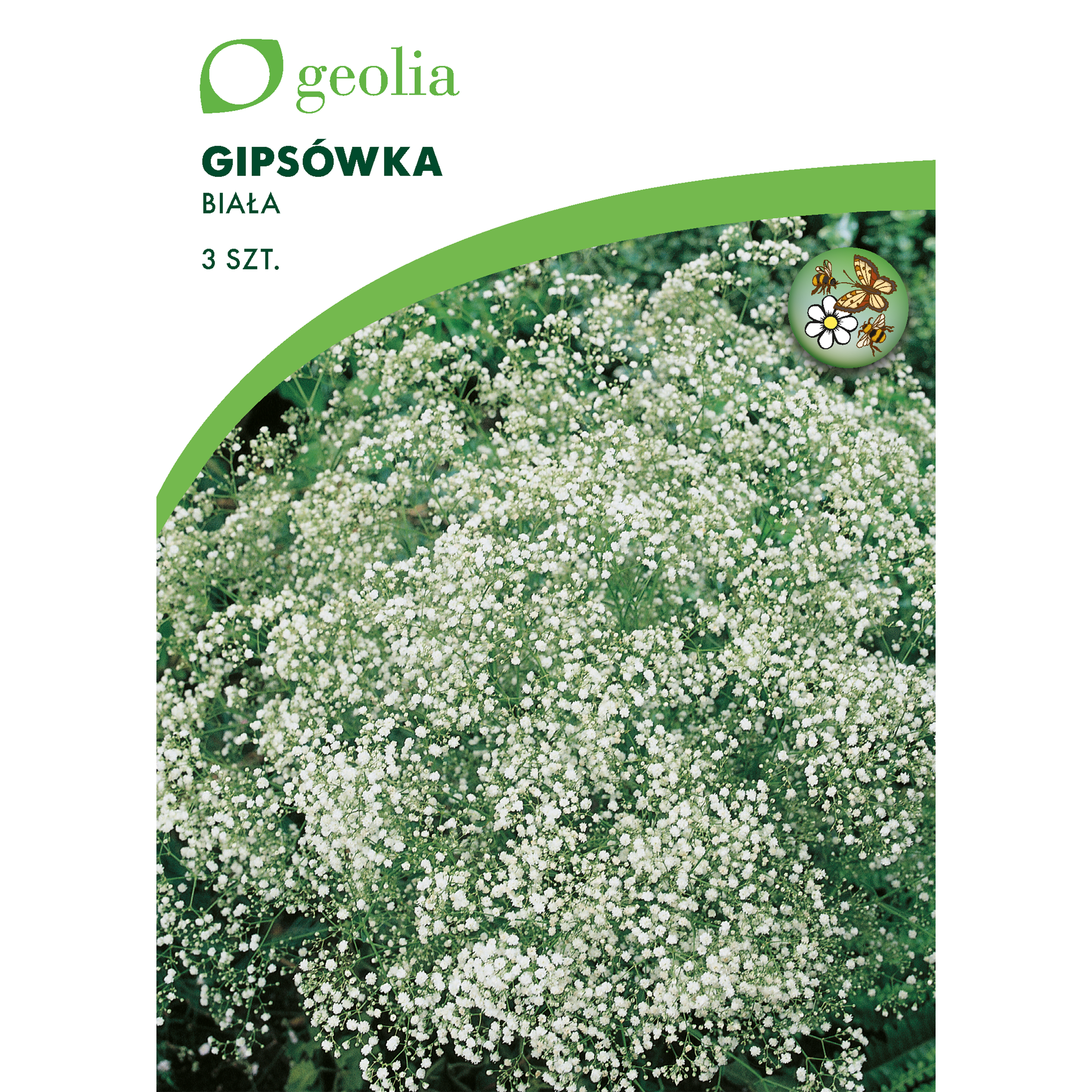 Gipsówka wiechowata (Łyszczec) 3szt. cebulki kwiatów Geolia