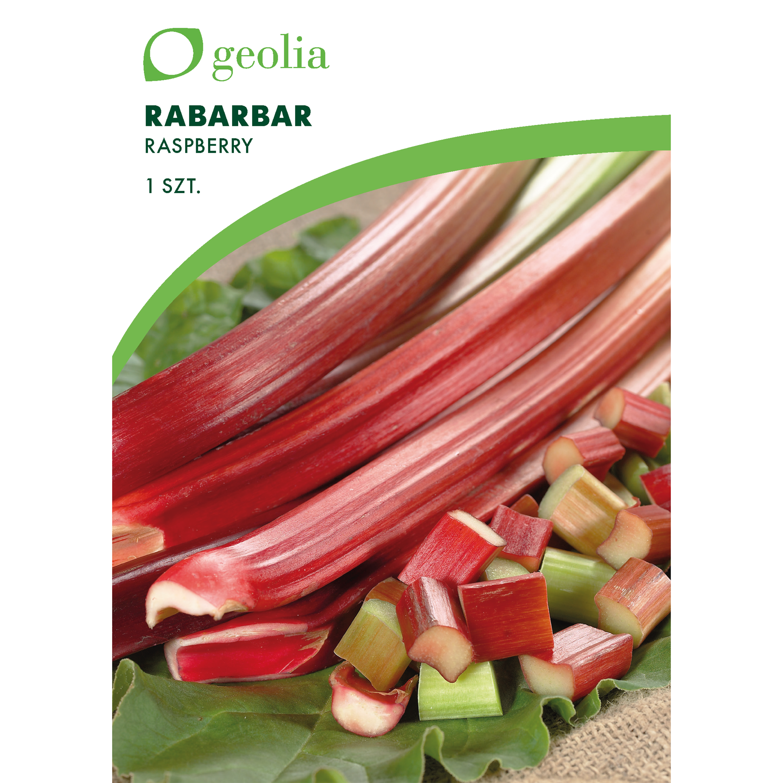 Rabarbar Raspberry 1szt. cebulki warzyw Geolia