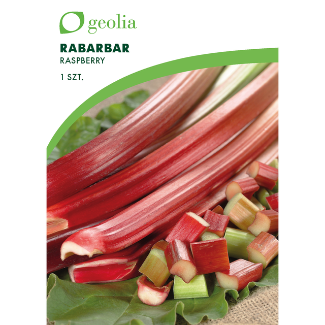 Rabarbar Raspberry 1szt. cebulki warzyw Geolia