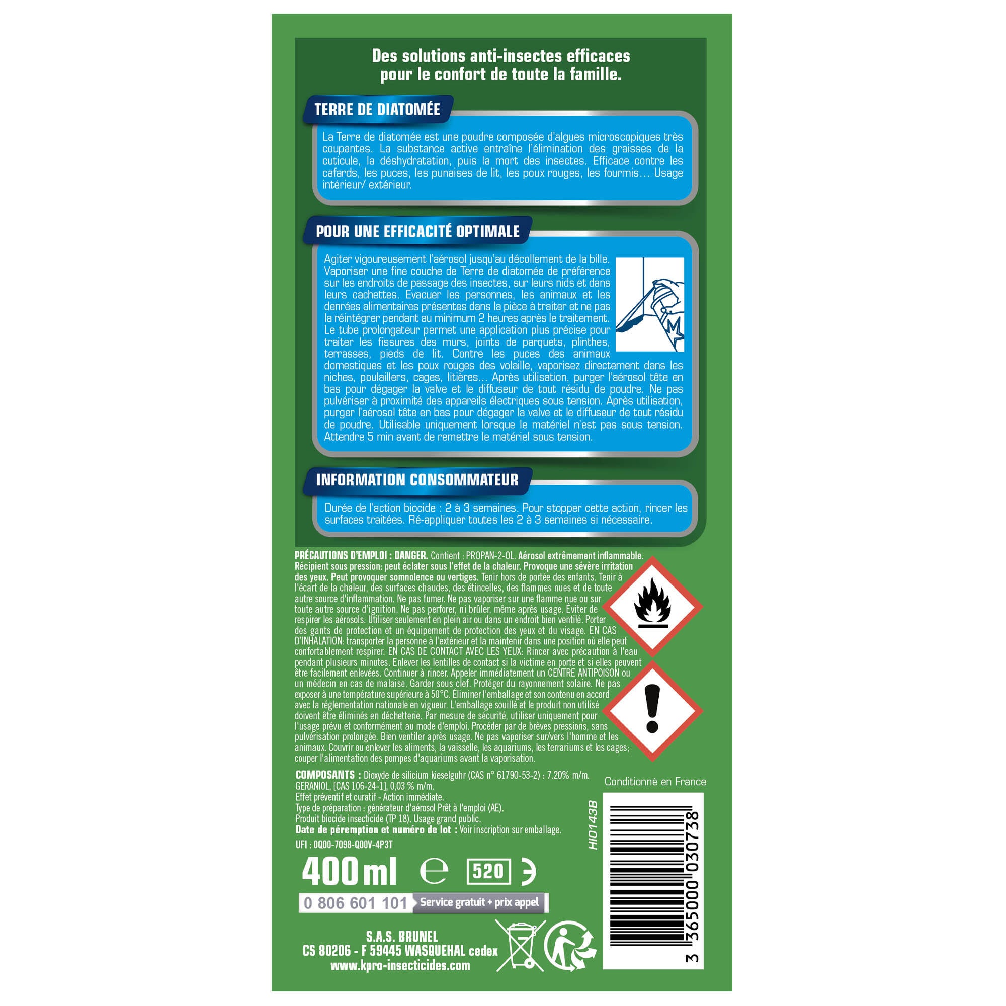 Insecticide aérosol insectes rampants, Terre de diatomée, vert K.PRO, 400ml - 5
