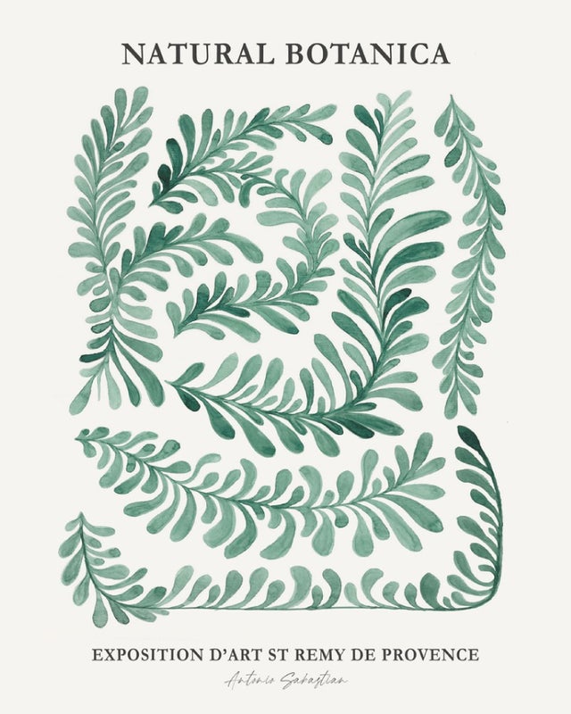 Affiche Natural botanica, multicouleur EDITIONS BRAUN l.40 x H.50 cm