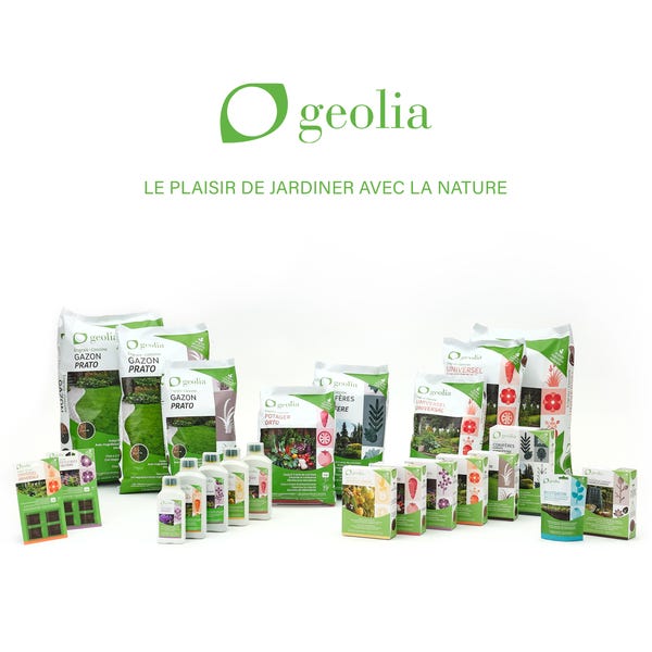 Engrais naturel universel GEOLIA, 20 sticks | Leroy Merlin