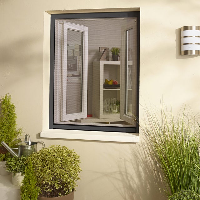 Moustiquaire enroulable aluminium anthracite pour fenêtre H160 x L160 cm recoupable