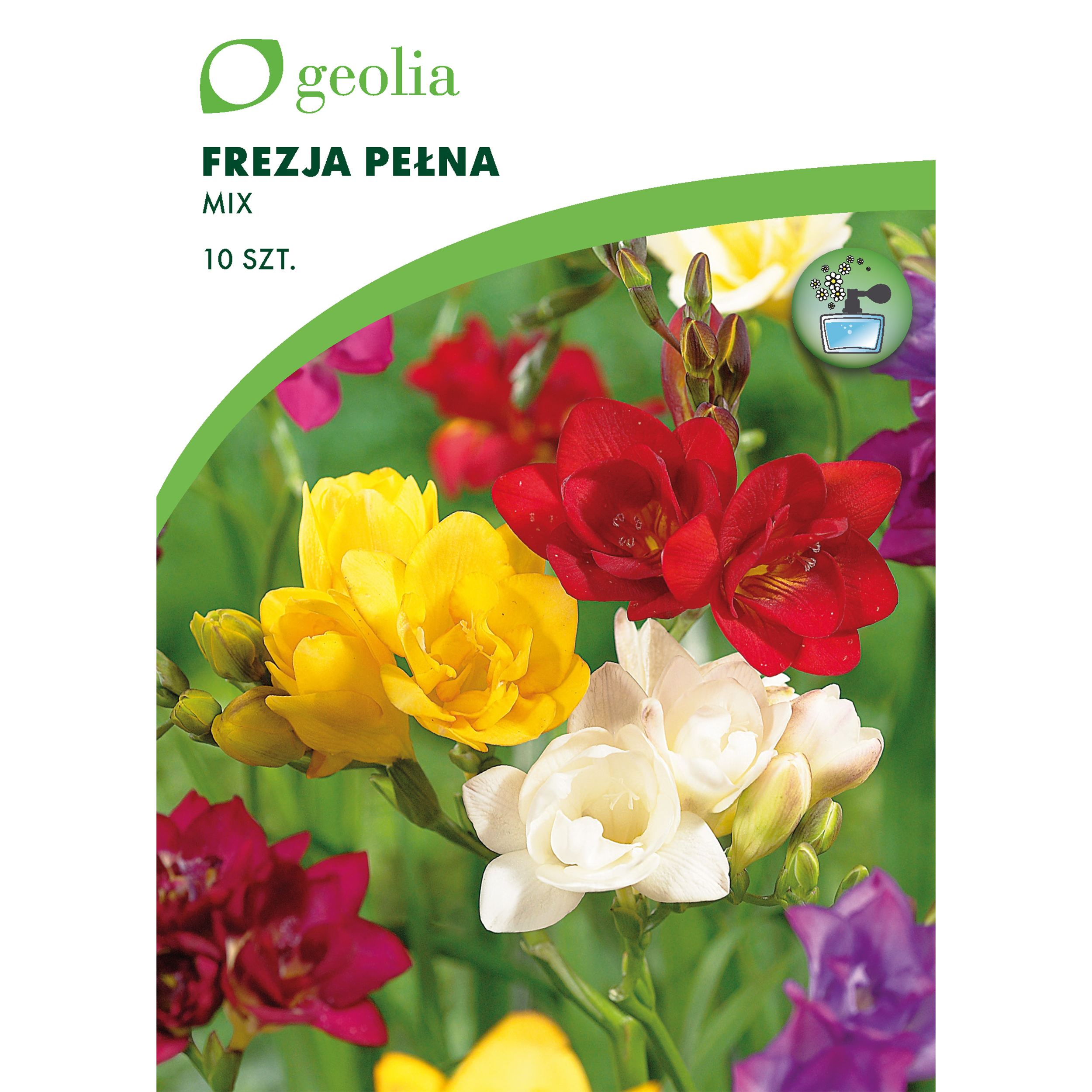 Frezja pełna mix 10 szt. cebulki kwiatów Geolia
