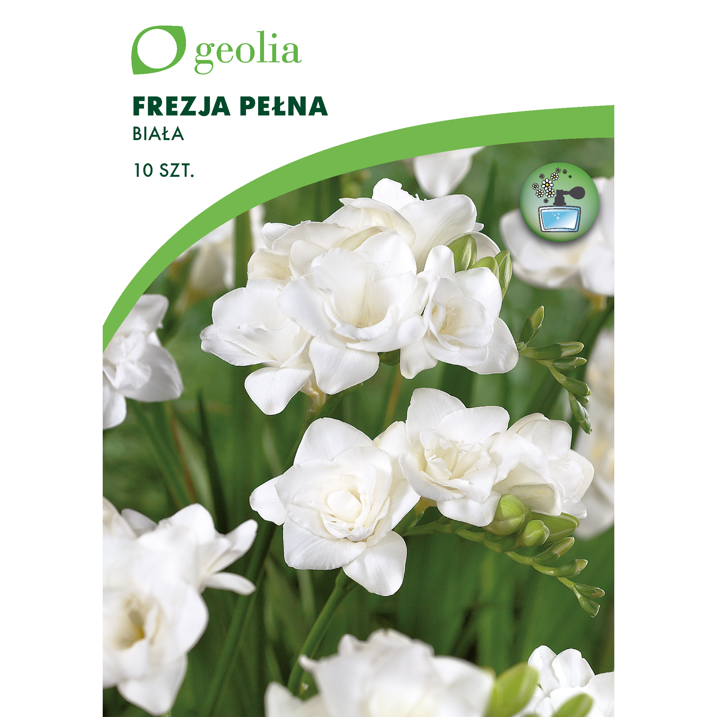 Frezja pełna biała 10szt. cebulki kwiatów Geolia