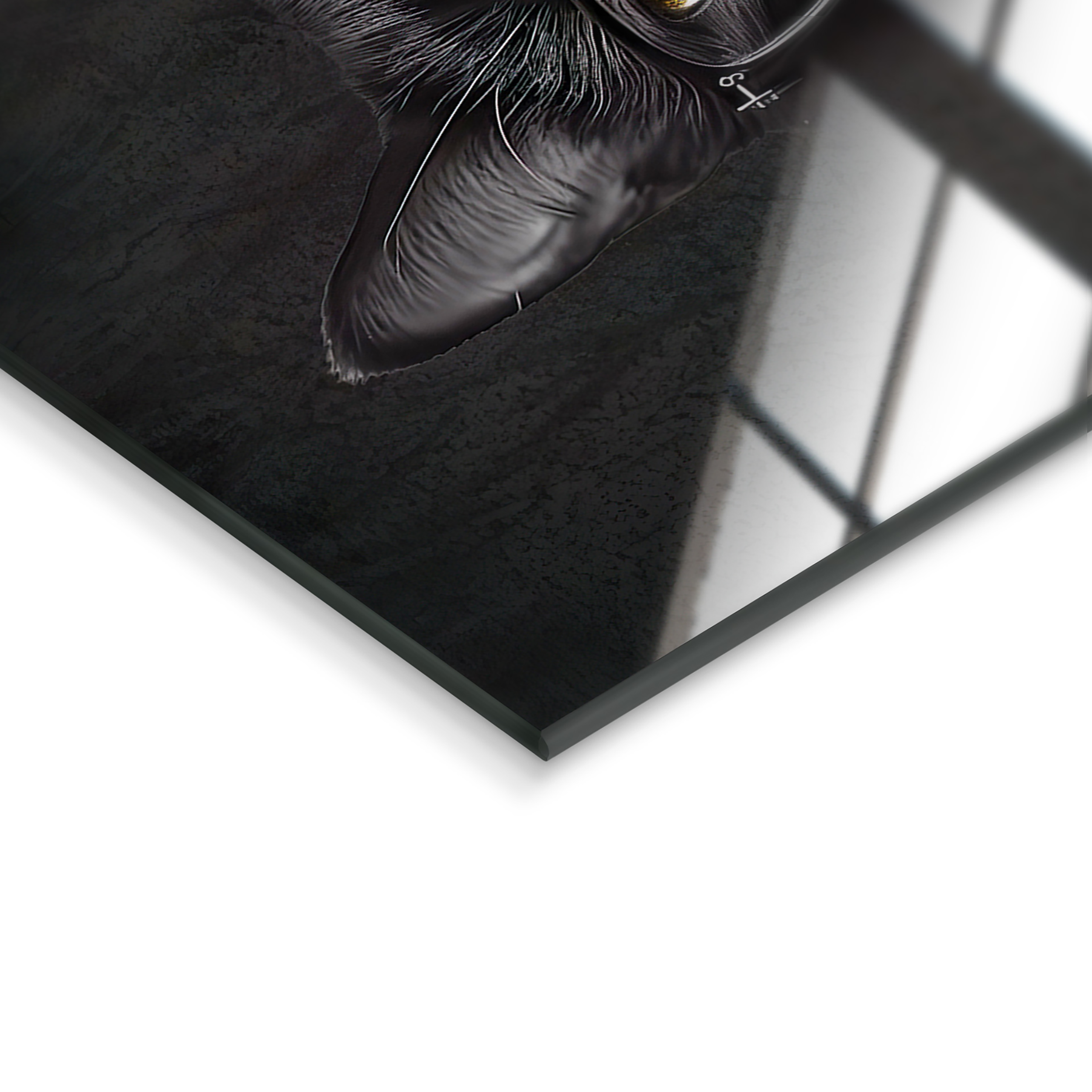 Obraz na szkle Cat 30 x 30 cm - 3