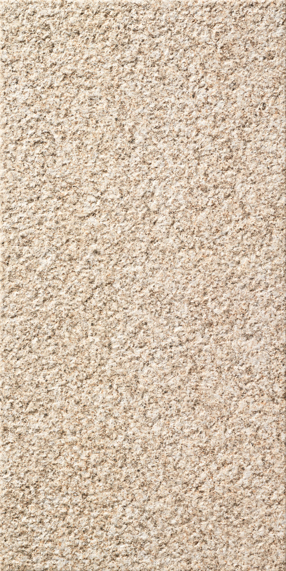 Revestimento cerâmico bege 30x60 cm New Roriz - 2