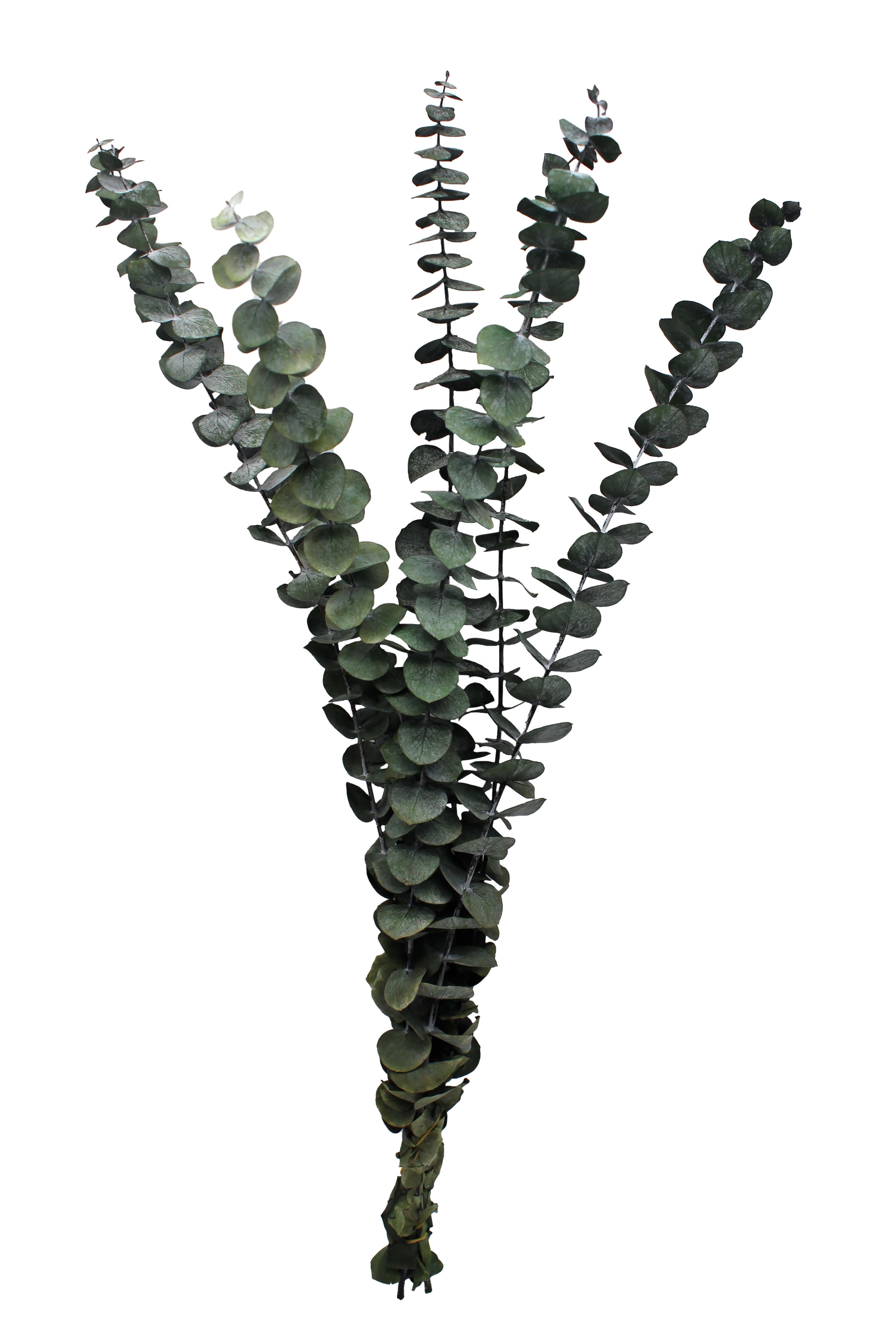 Composición de plantas artificiales sin maceta ramo eucaliptus de 60 cm de altura