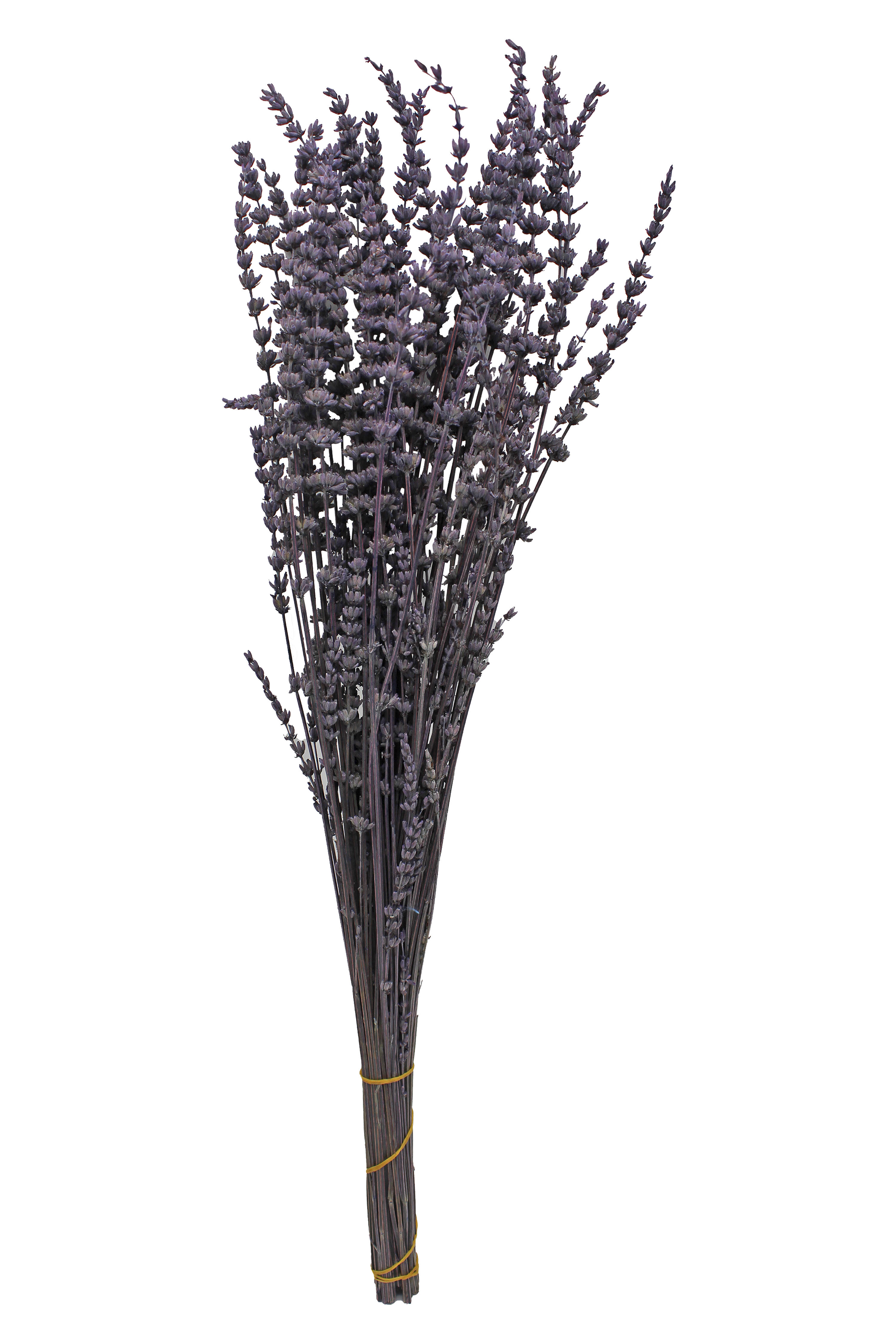 Composición de plantas artificiales sin maceta ramo lavanda de 60 cm de altura