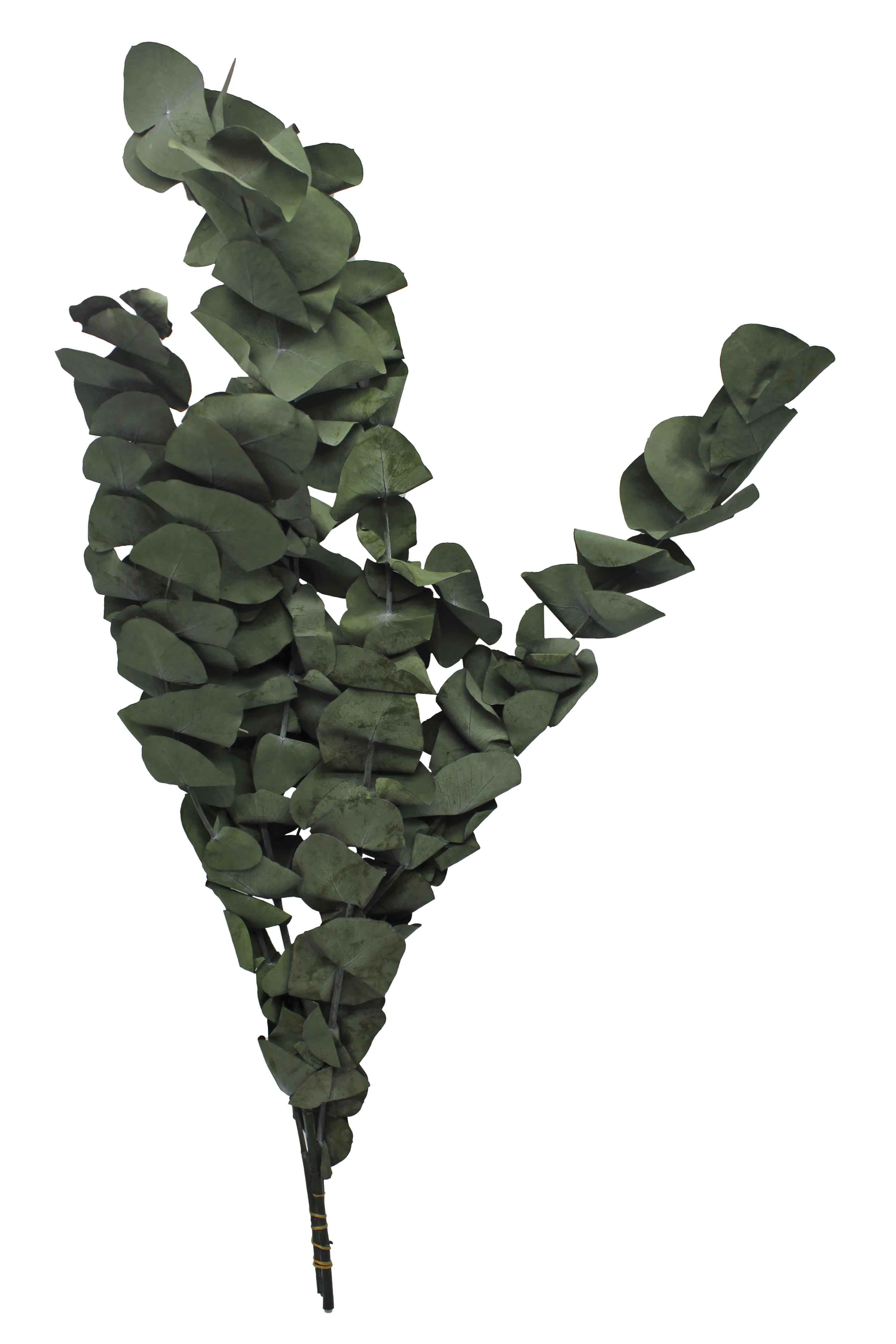 Composición de plantas artificiales sin maceta ramo eucaliptus de 65 cm de altura