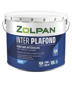 Peinture extérieure fer ZOLPAN blanc brillant 3L | Leroy Merlin