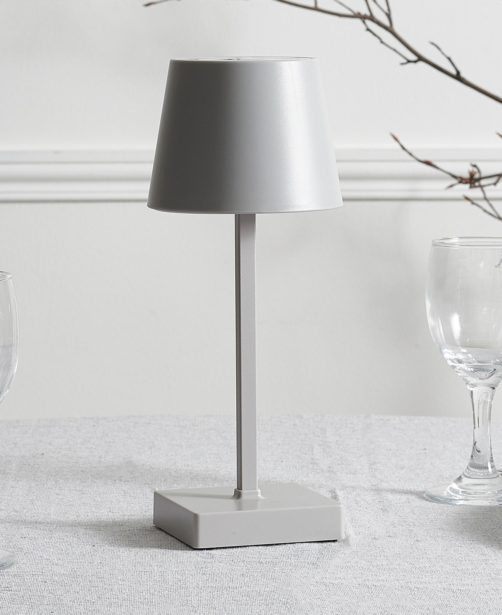 Gris / plata