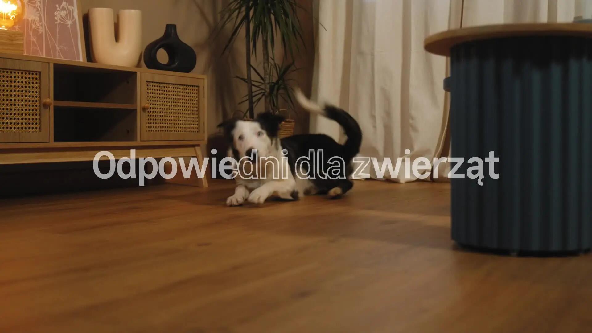 Panele podłogowe wodoodporne AC5 7 mm Artens Brown ciemne drewno - 2