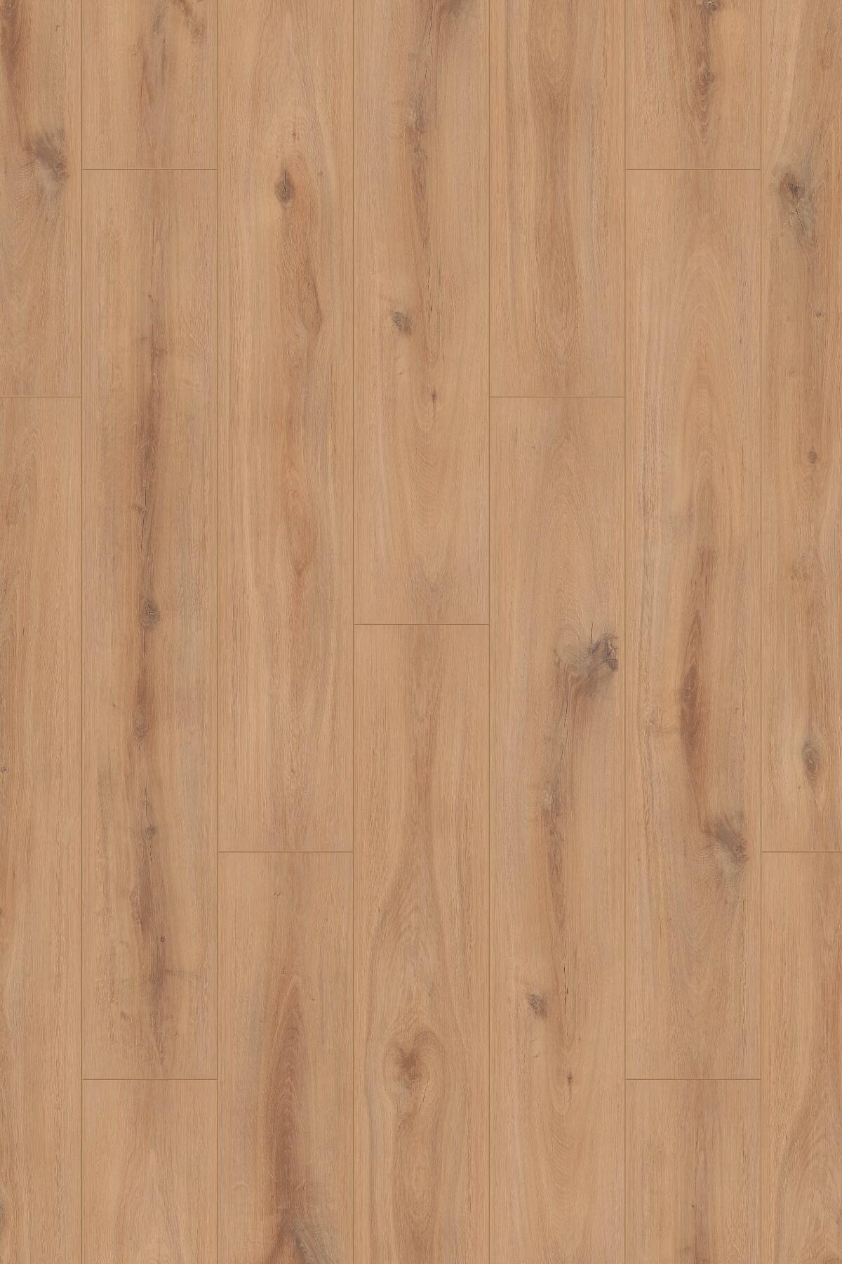 Sol stratifé chêne naturel Golden Aqua MOD 008 AC5 Ep. 8 mm L. 128,8 x l.19,5 cm résistant à l'eau -KRONOSPAN  - 4