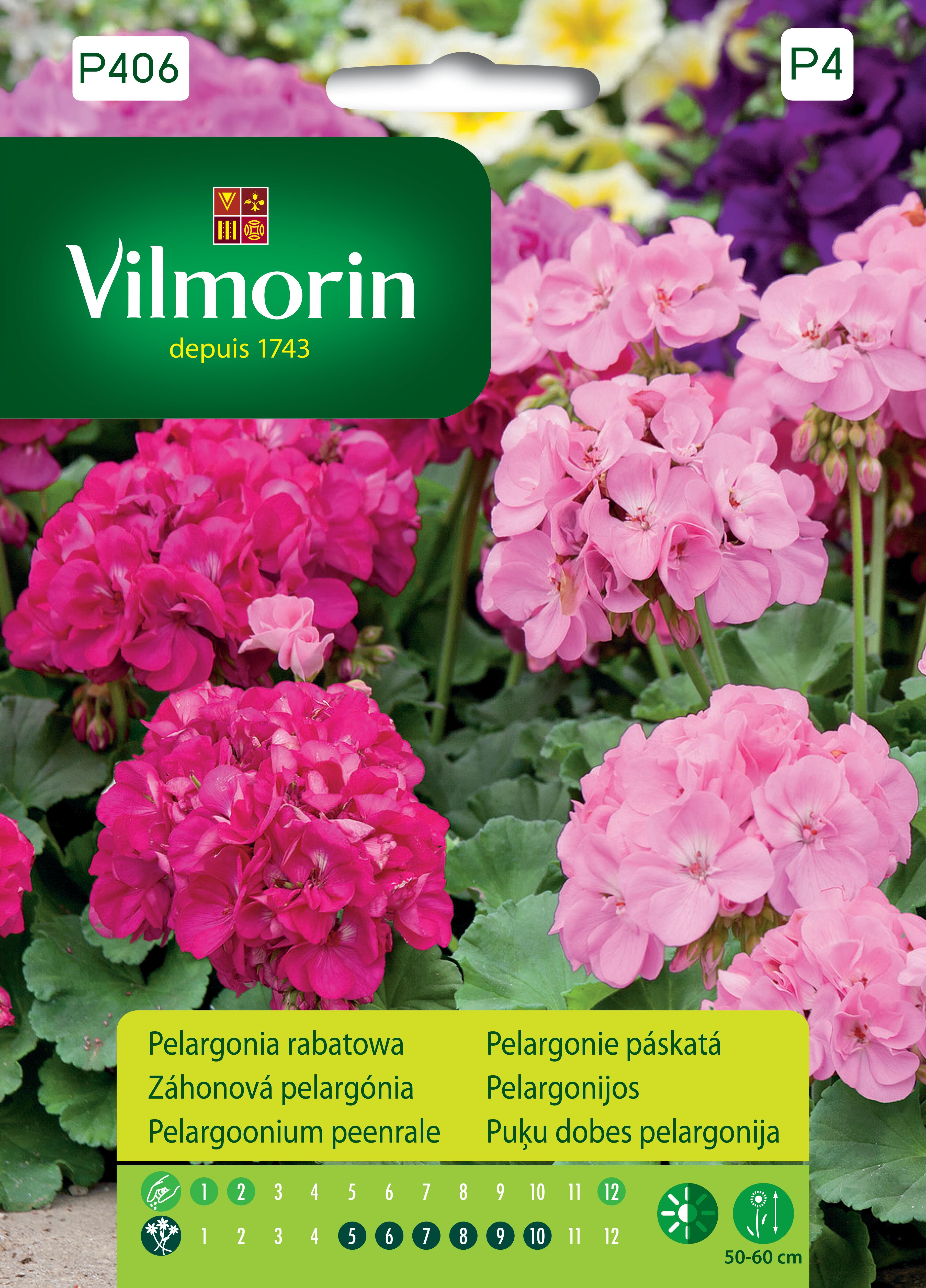 Pelargonia rabatowa różowa nasiona Vilmorin