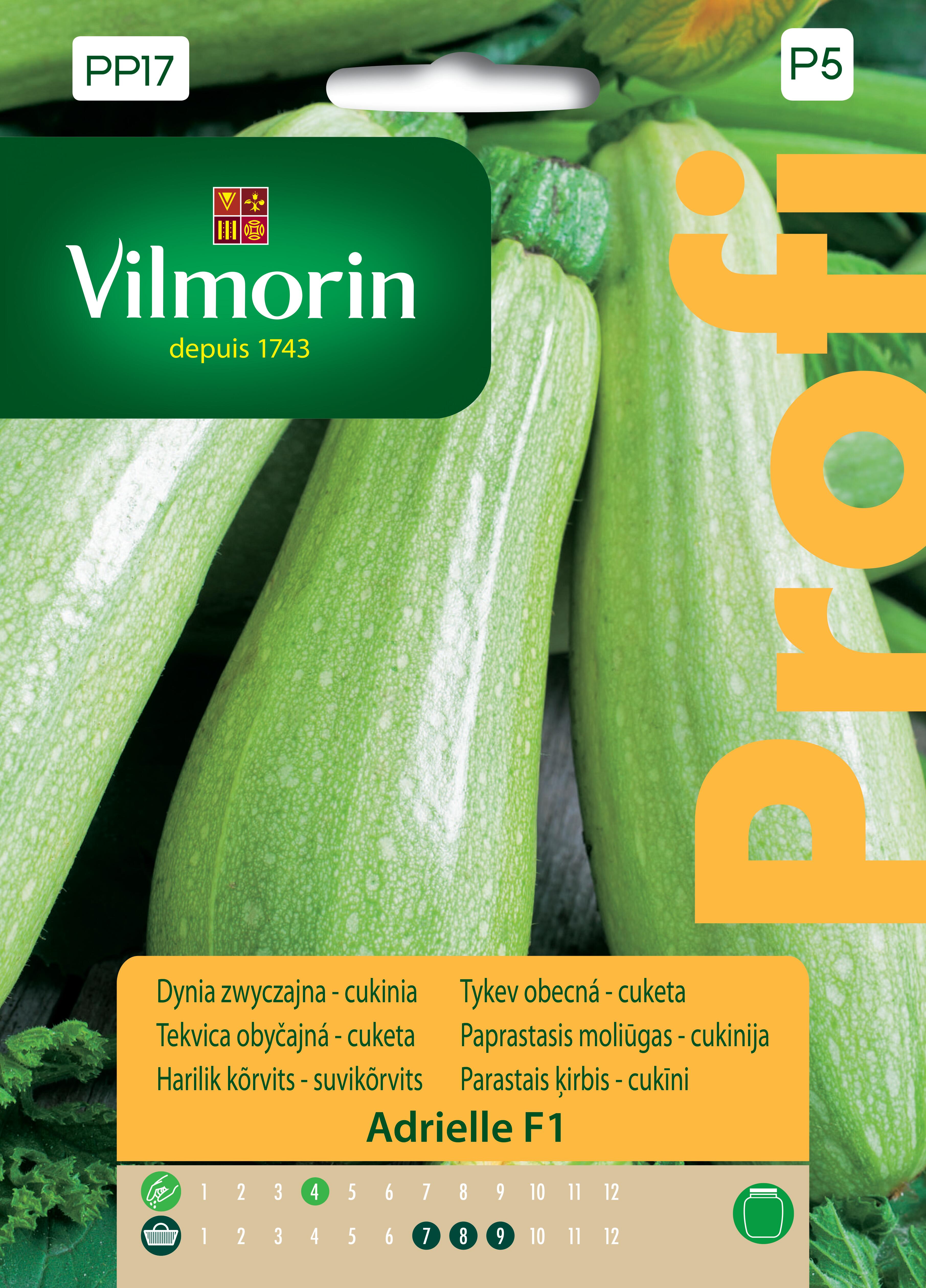 Dynia zwyczajna Cukinia Adrielle 1.5 g nasiona Vilmorin