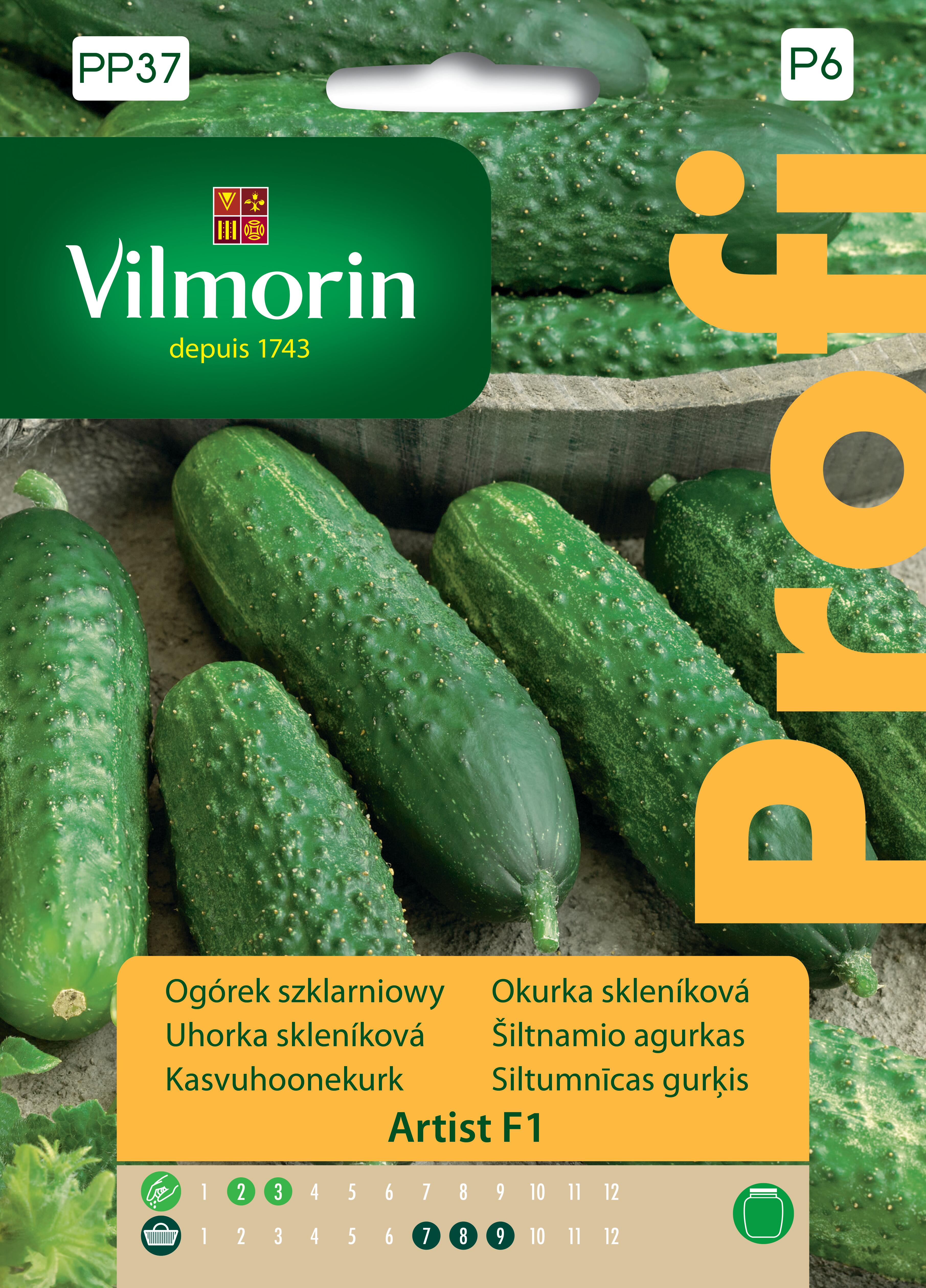 Ogórek partenokarpiczny szklarniowy Artist nasiona 10szt. Vilmorin