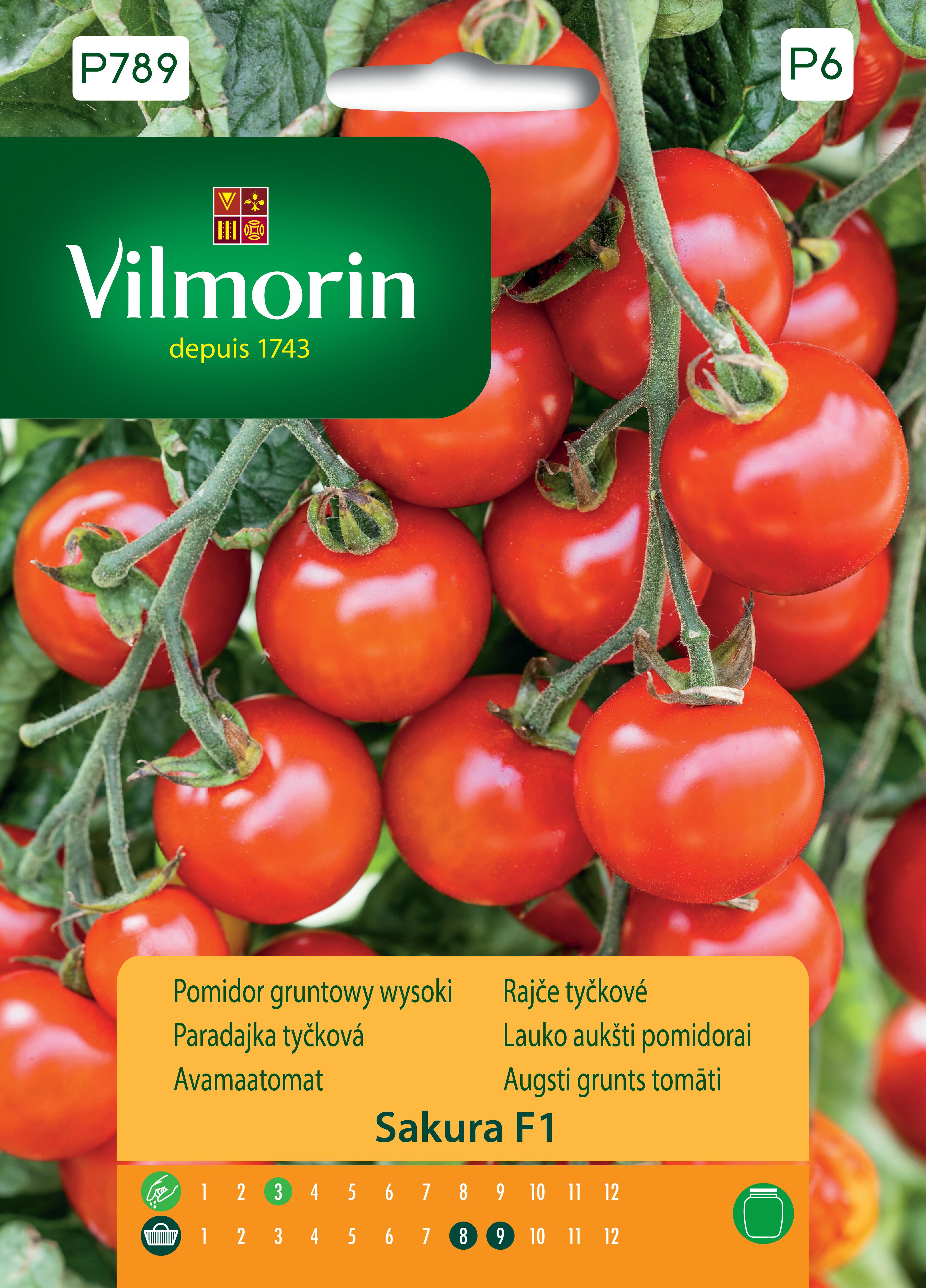 Pomidor gruntowy wysoki Sakura nasiona 9szt. Vilmorin