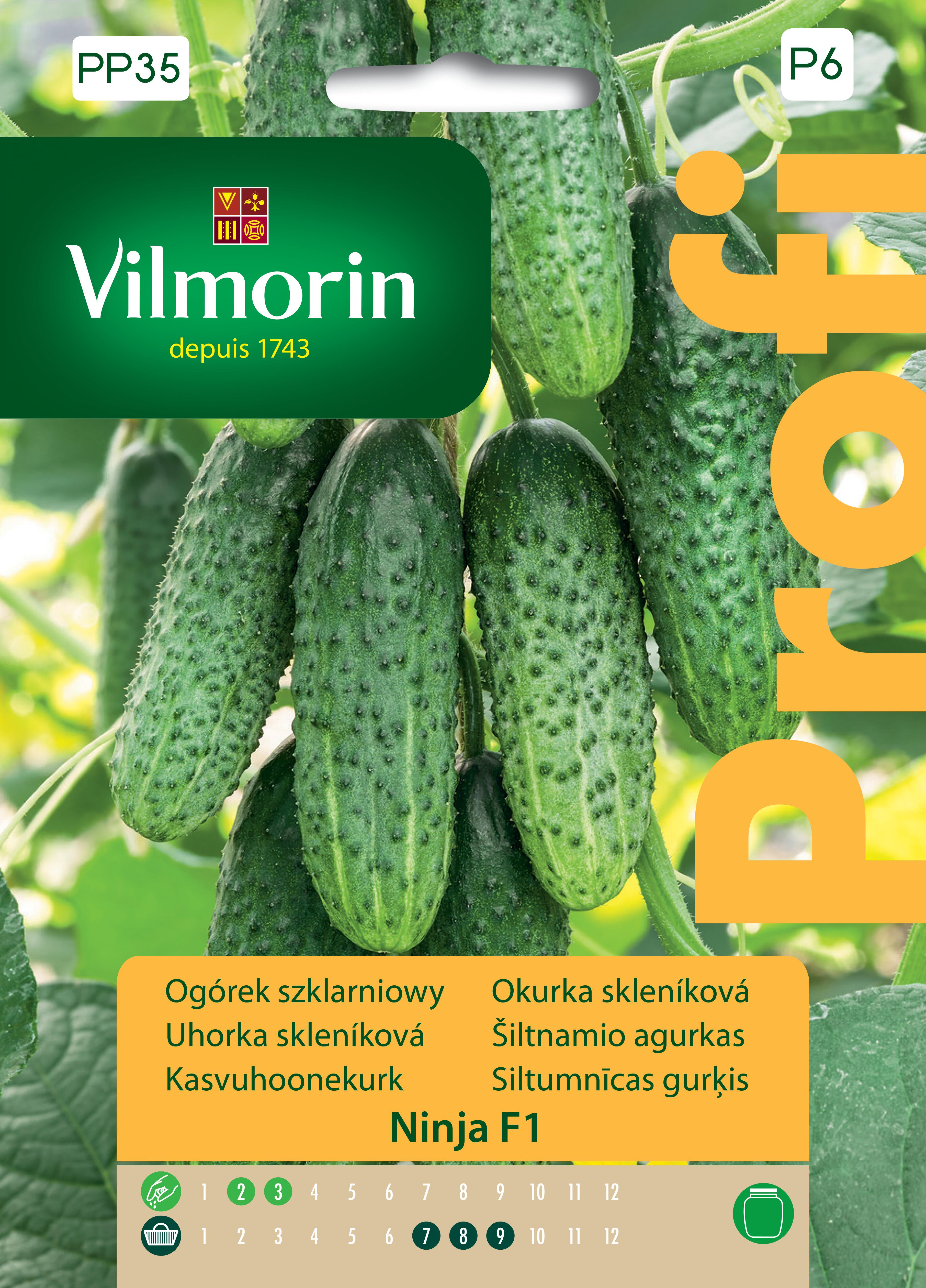 Ogórek partenokarpiczny szklarniowy Ninja nasiona 12szt. Vilmorin