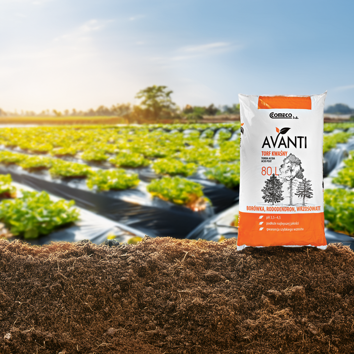 Torf poprawiający strukturę podłoża