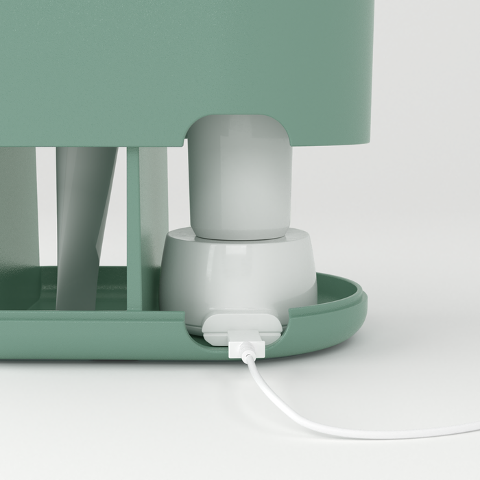 Porte brosse à dents cactus 4 easy sensea