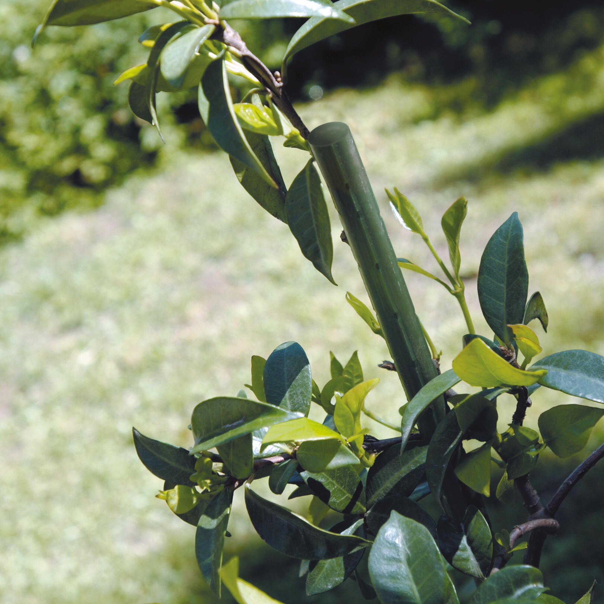 Tutore TENAX Steel Up Modular D 1,6 x H 0.6 m - 9