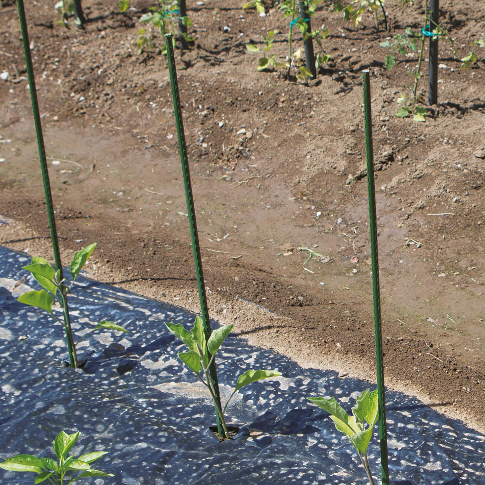 Tutore TENAX Steel Up Modular D 1,6 x H 0.6 m - 2