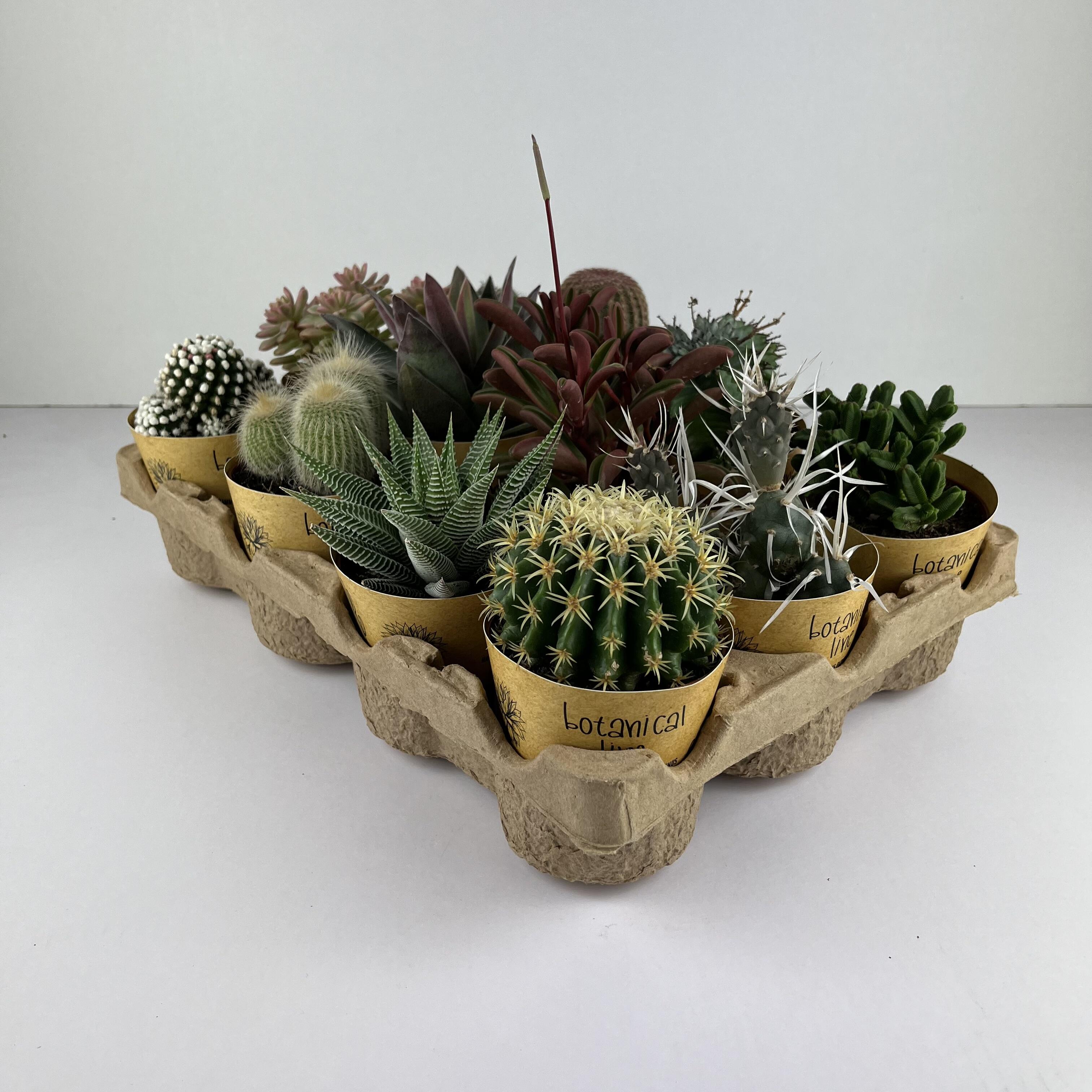 Vasetto Per Piante Grasse A Forma Di Fragola: Ceramica Dipinta A Mano, Decorazione Casa Simpatica E Originale (S O L)