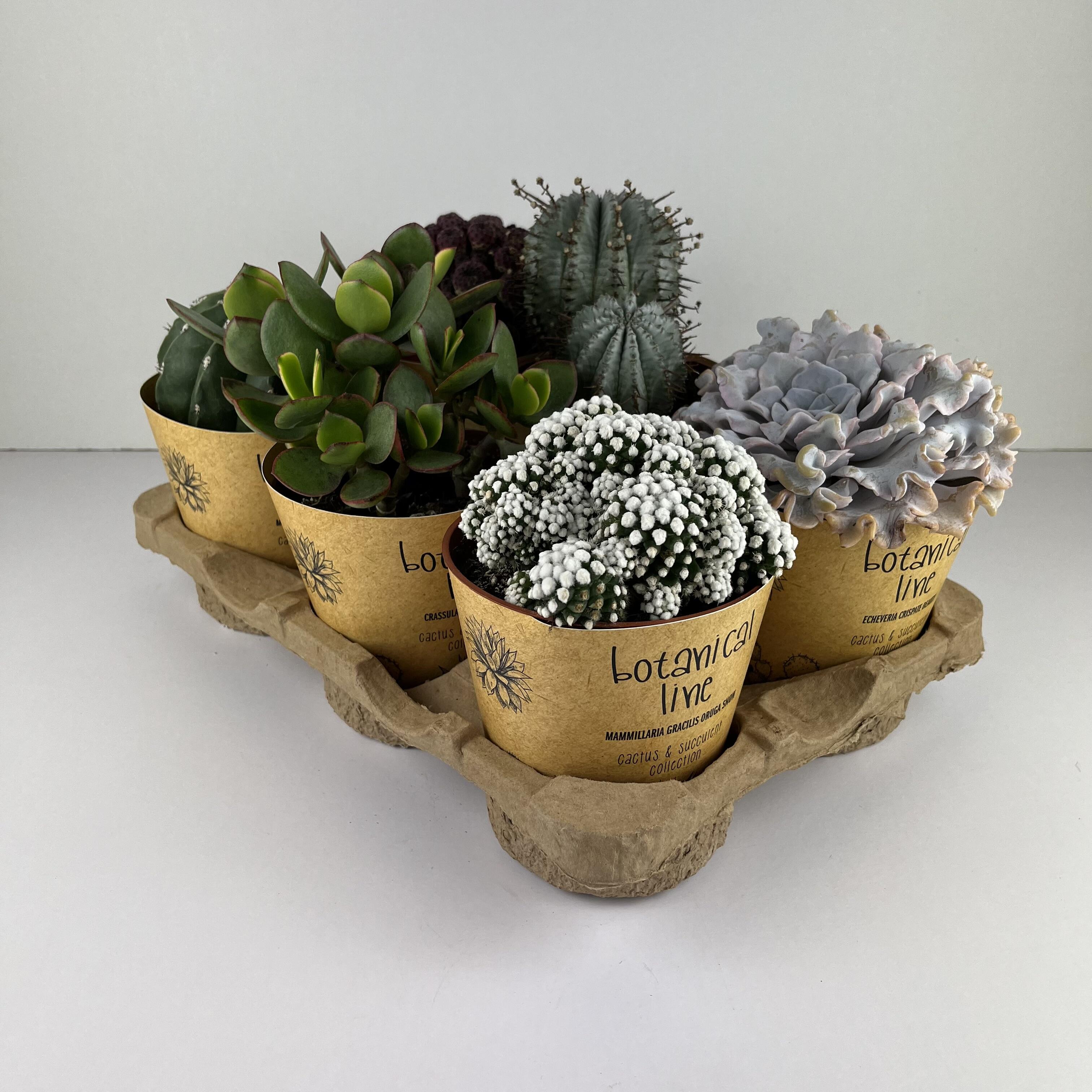 VOSAREA Vaso Per Piante Grasse In Ceramica, Forma Di Fenicottero Rosso, Mini Vaso Da Fiori Per Interni/Esterni, Decorazione Balcone E Giardino, Regalo Originale