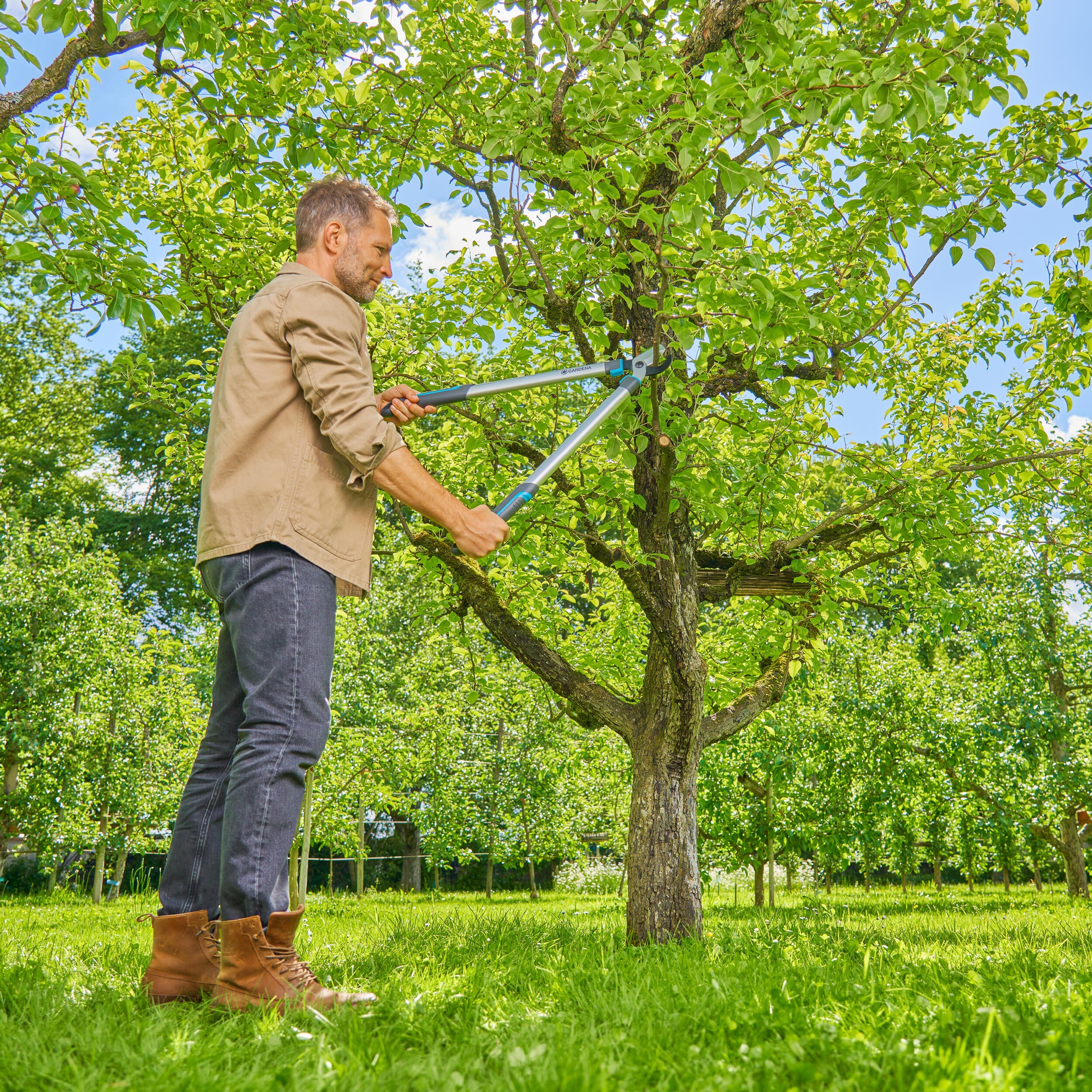 Coupe-branches acier inoxydable GARDENA 12031-20, Diam.45 mm - 5