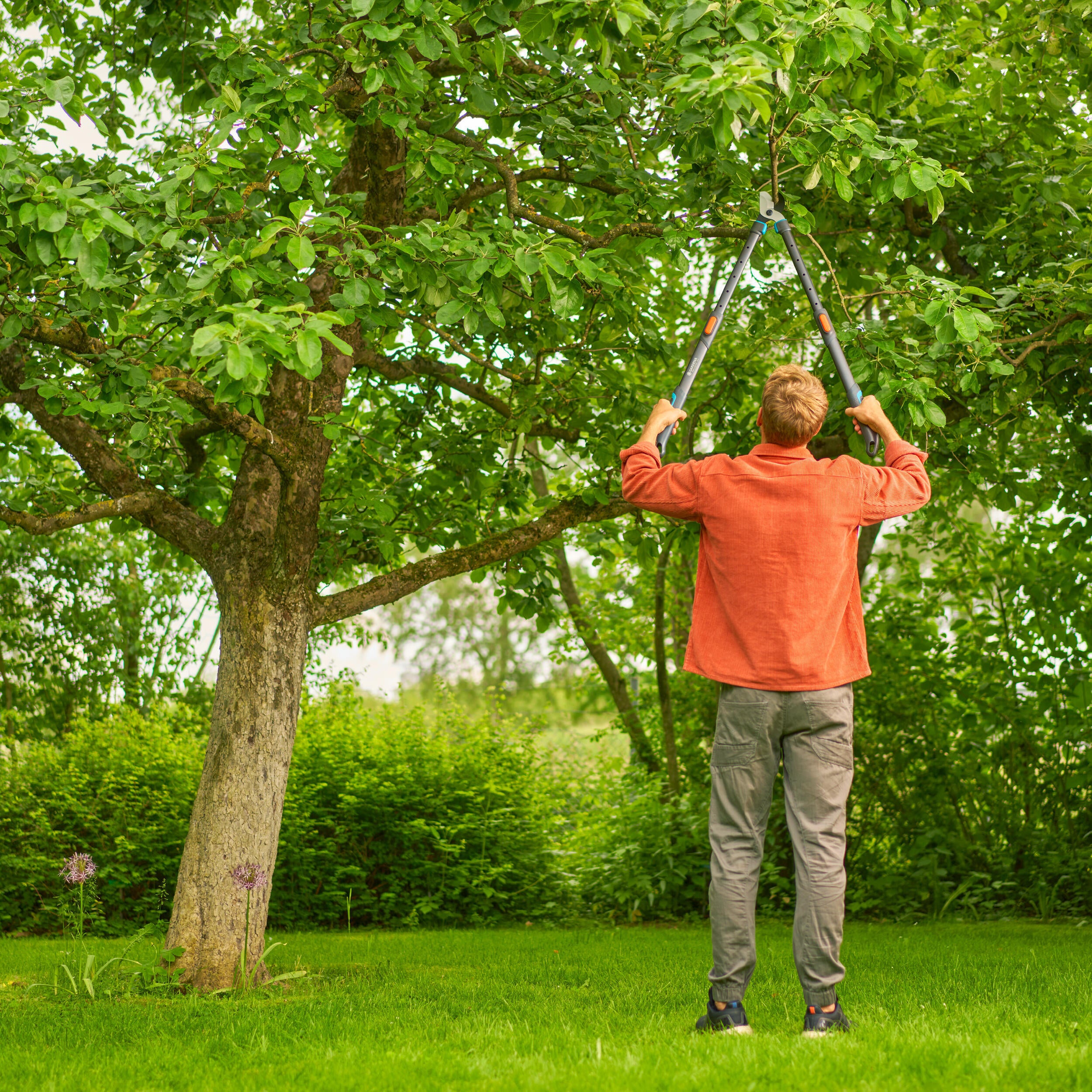 Coupe-branches acier inoxydable GARDENA 12041-20, Diam.50 mm - 6