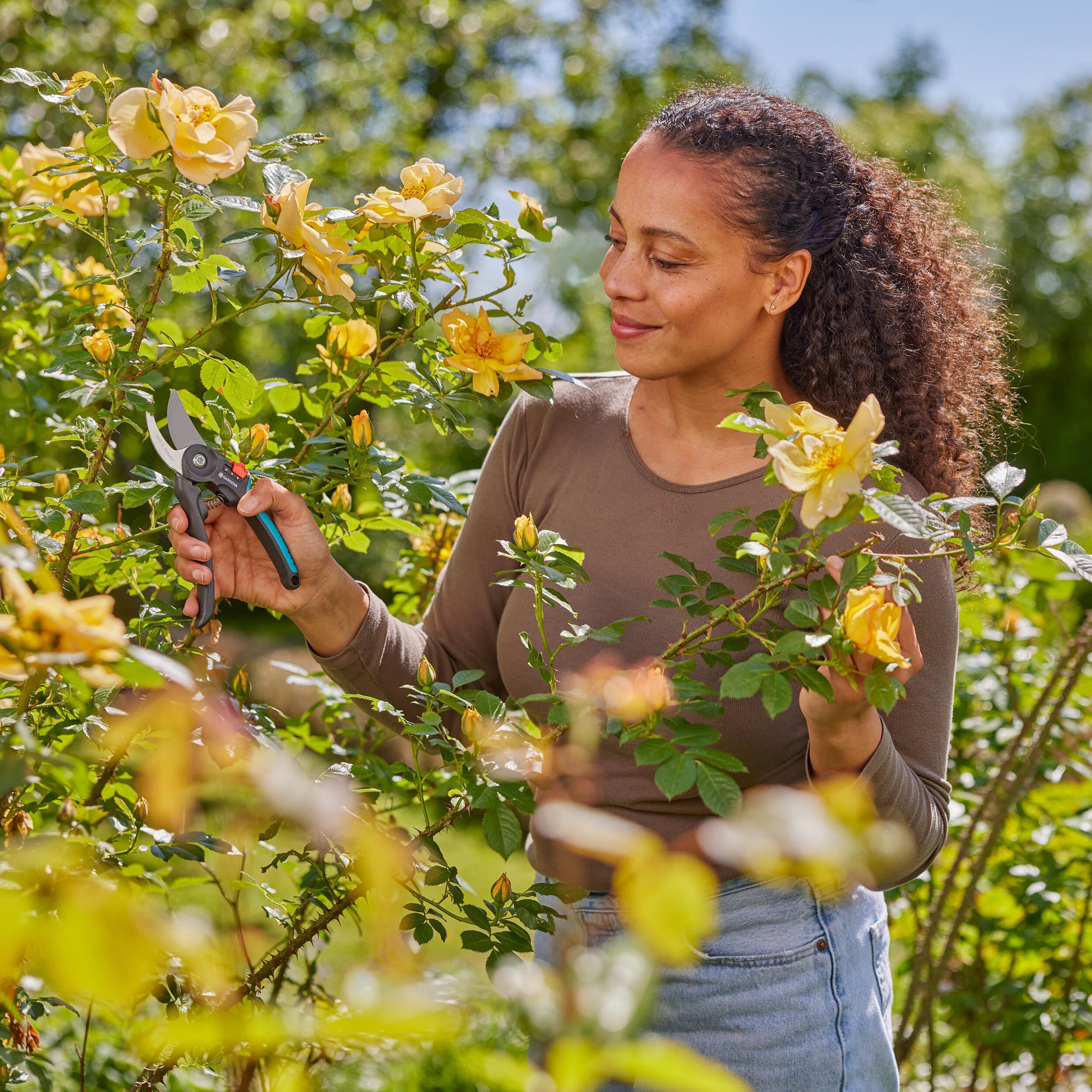 SECATEUR 1ER LAMES FRANCHES  AJUSTABLE S-M 24MM - 5