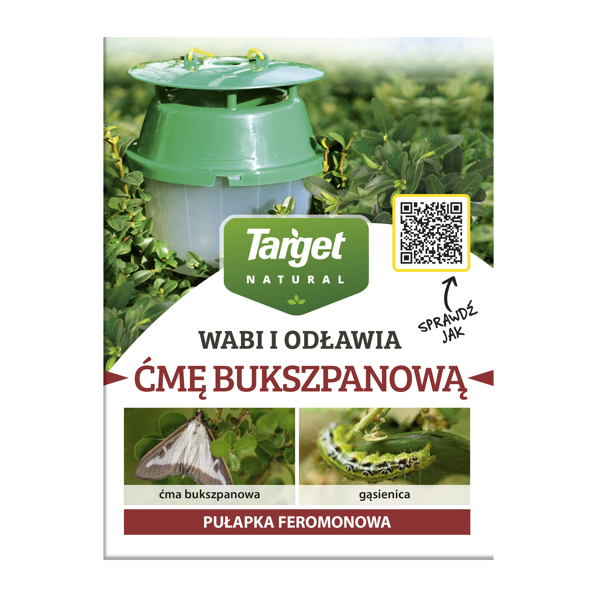 Pułapka fermonowa na ćmę bukszpanową Target Natural