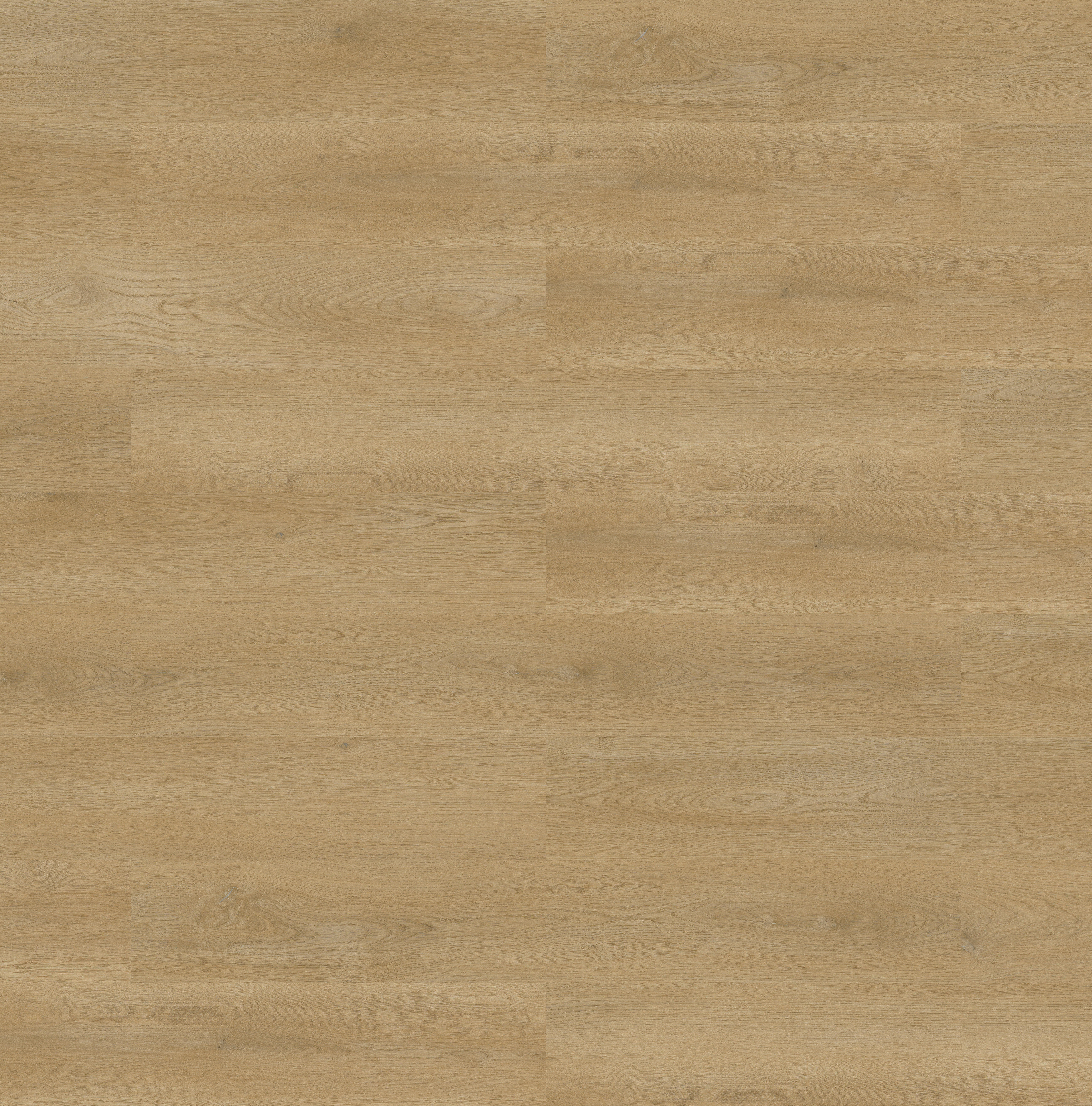 SPC effetto legno beige Sp 6 mm con sottopavimento integrato Cork Ghent 1.71 m² - 3