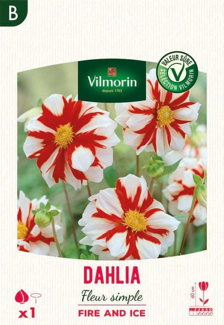 VILMORIN Pied d'Alouette Imperial géant double varié - Jardin VILMORIN Pied d'Alouette Imperial géant double varié - Jardin