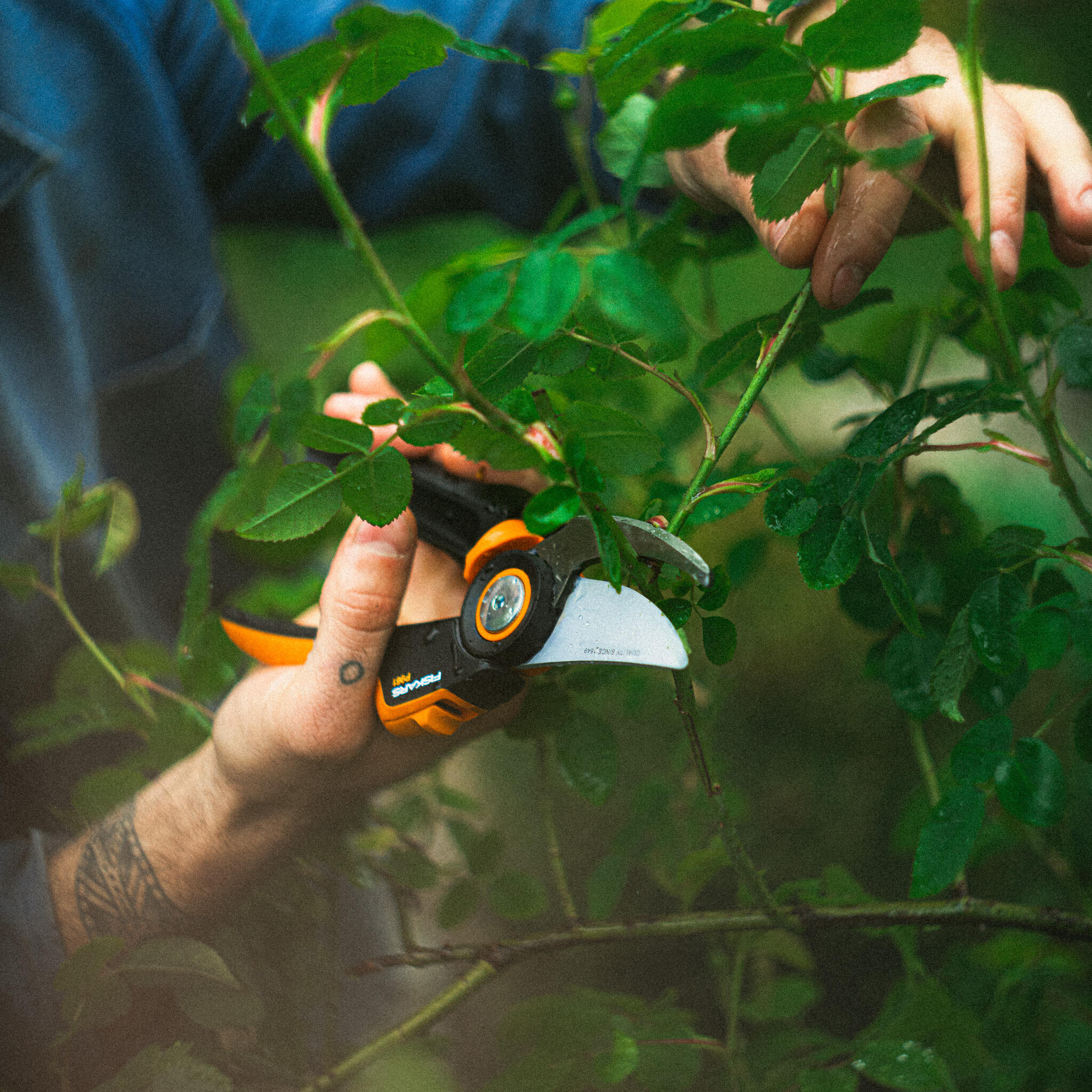 secateur fiskars confort utilisation - 3