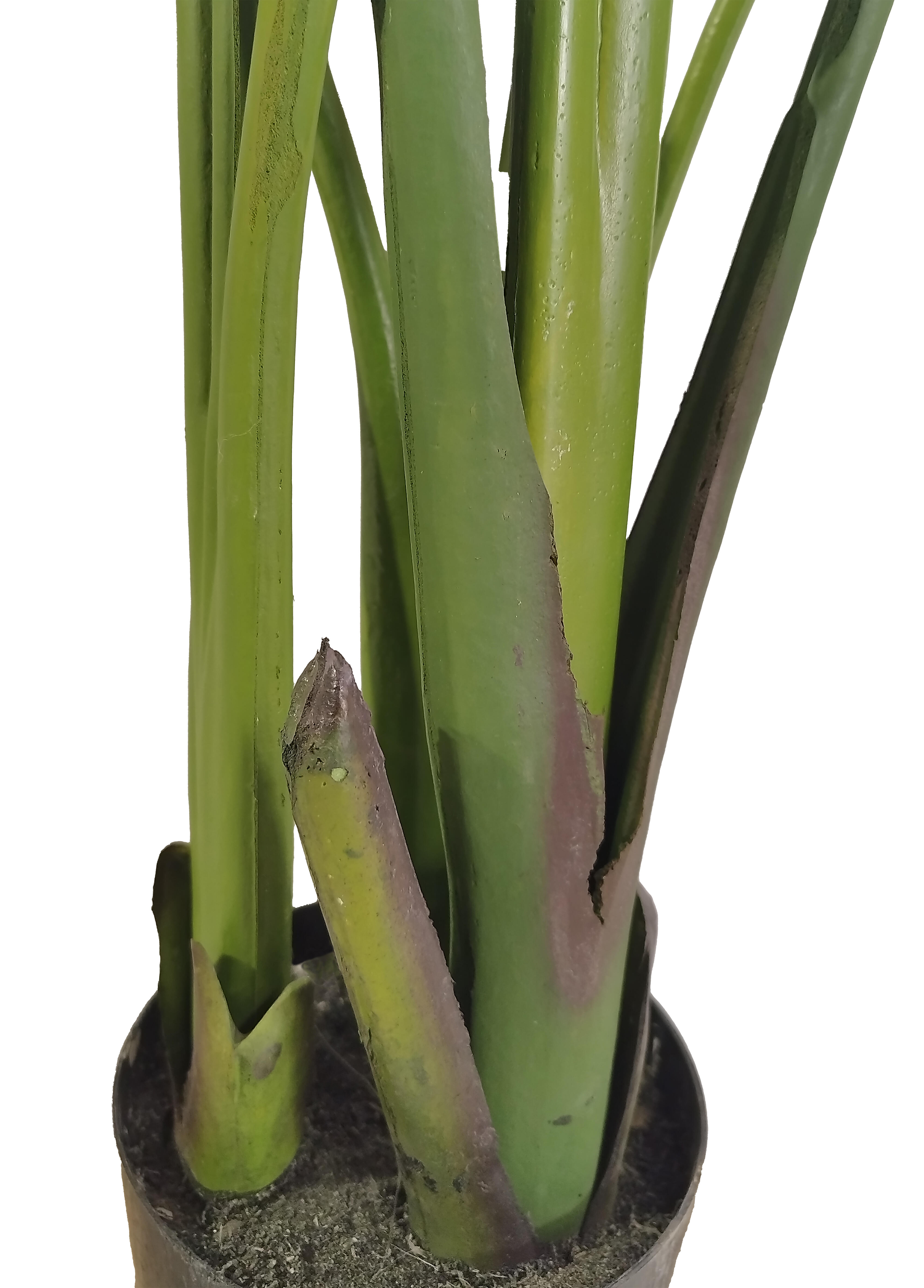 Planta artificial 150 cm Ave paraíso - 4