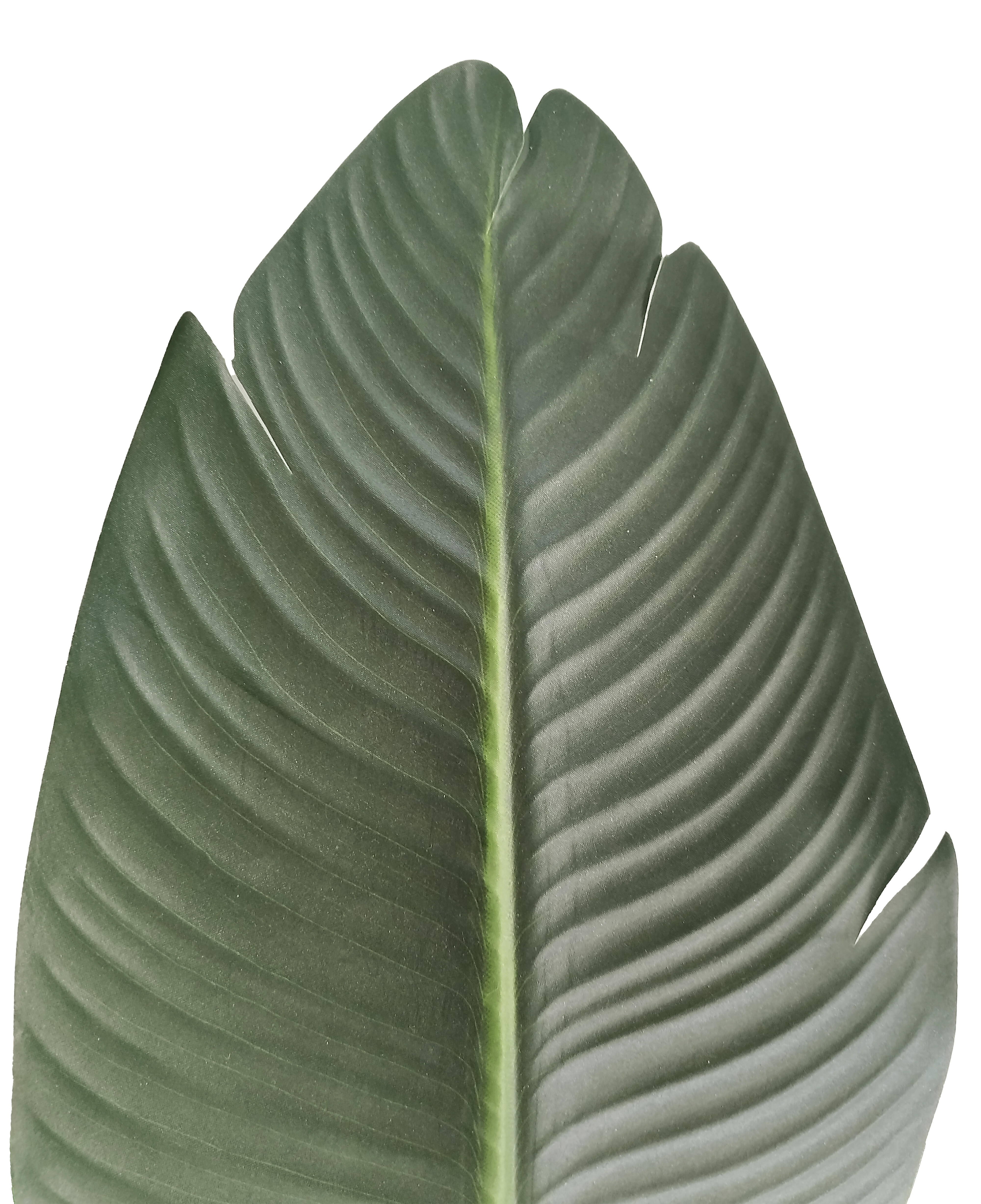 Planta artificial 150 cm Ave paraíso - 3