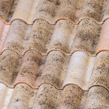 TEJA CERÁMICA MIXTA AITANA 47X28,6 CM - 2