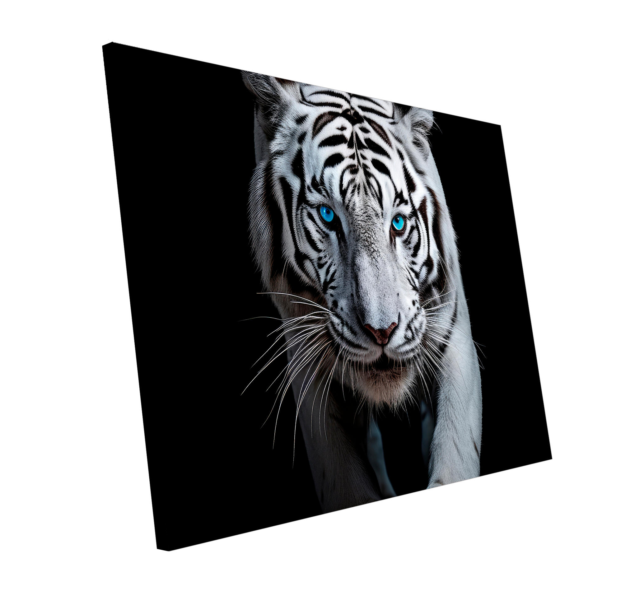 Elefante Blanco Y Negro, Lienzo Canvas Cuadro Decorativo | Mercado Libre