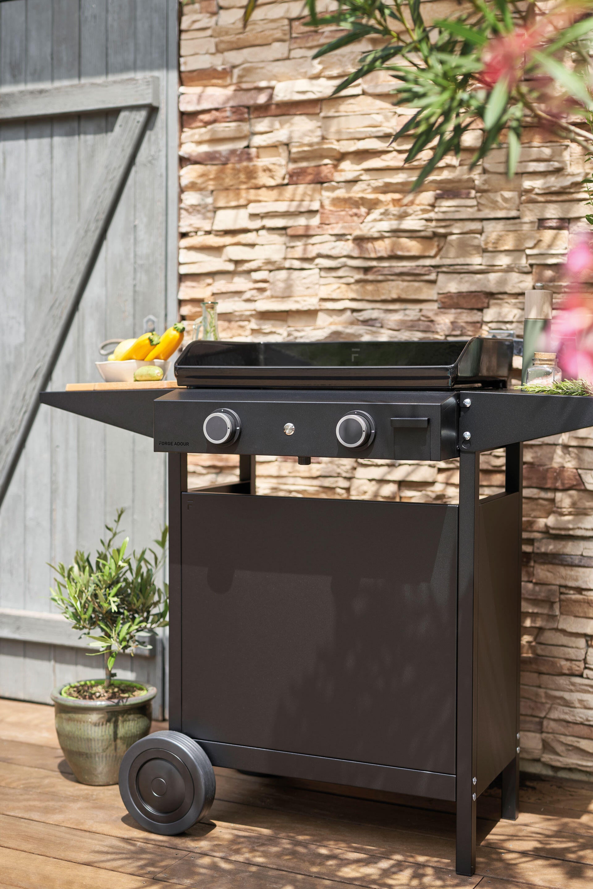 Plancha gaz FORGE ADOUR Origin 60 noir - 3