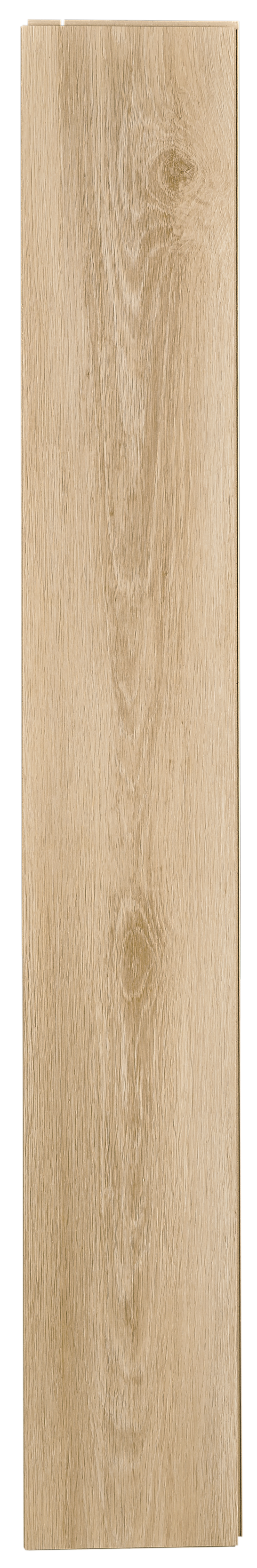 Panele podłogowe laminowane AC4 7 mm Promo Flooring Dąb Arosa - 8