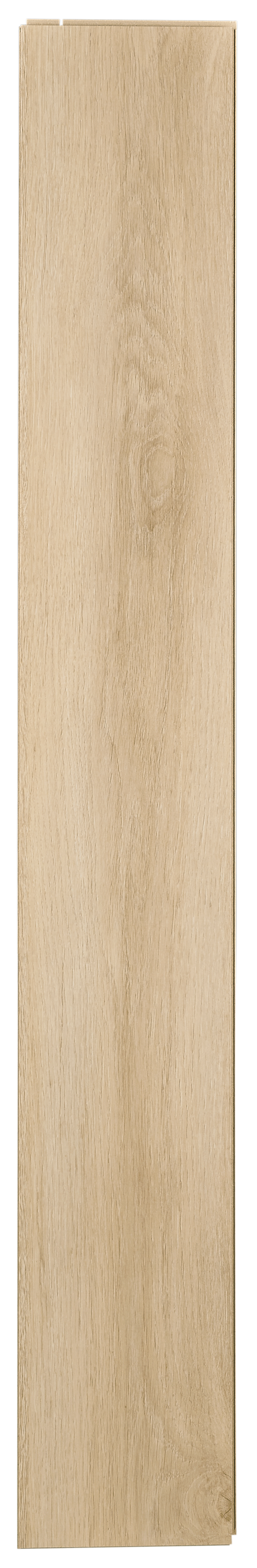 Panele podłogowe laminowane AC4 7 mm Promo Flooring Dąb Arosa - 6