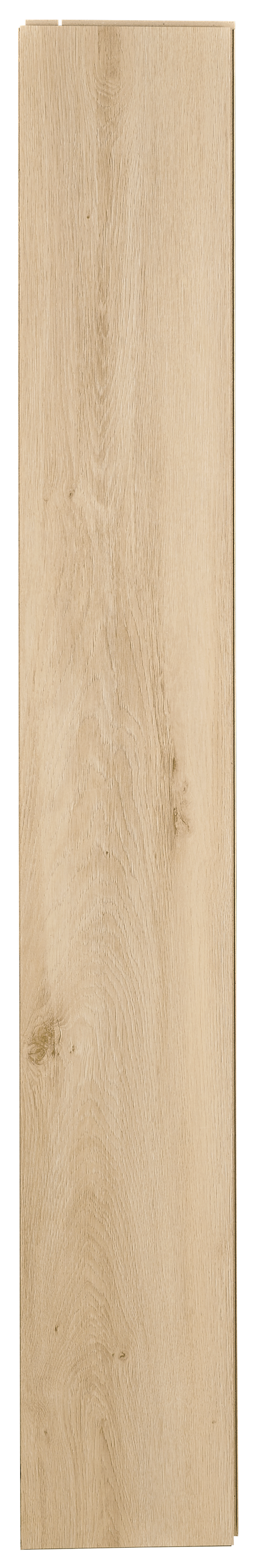 Panele podłogowe laminowane AC4 7 mm Promo Flooring Dąb Arosa - 5