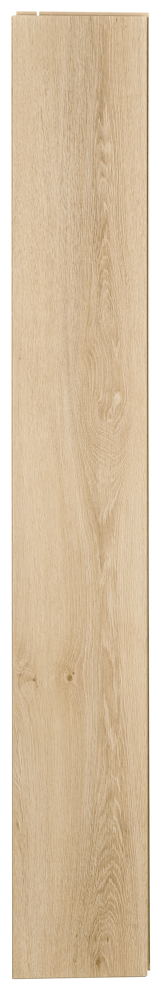 Panele podłogowe laminowane AC4 7 mm Promo Flooring Dąb Arosa - 4